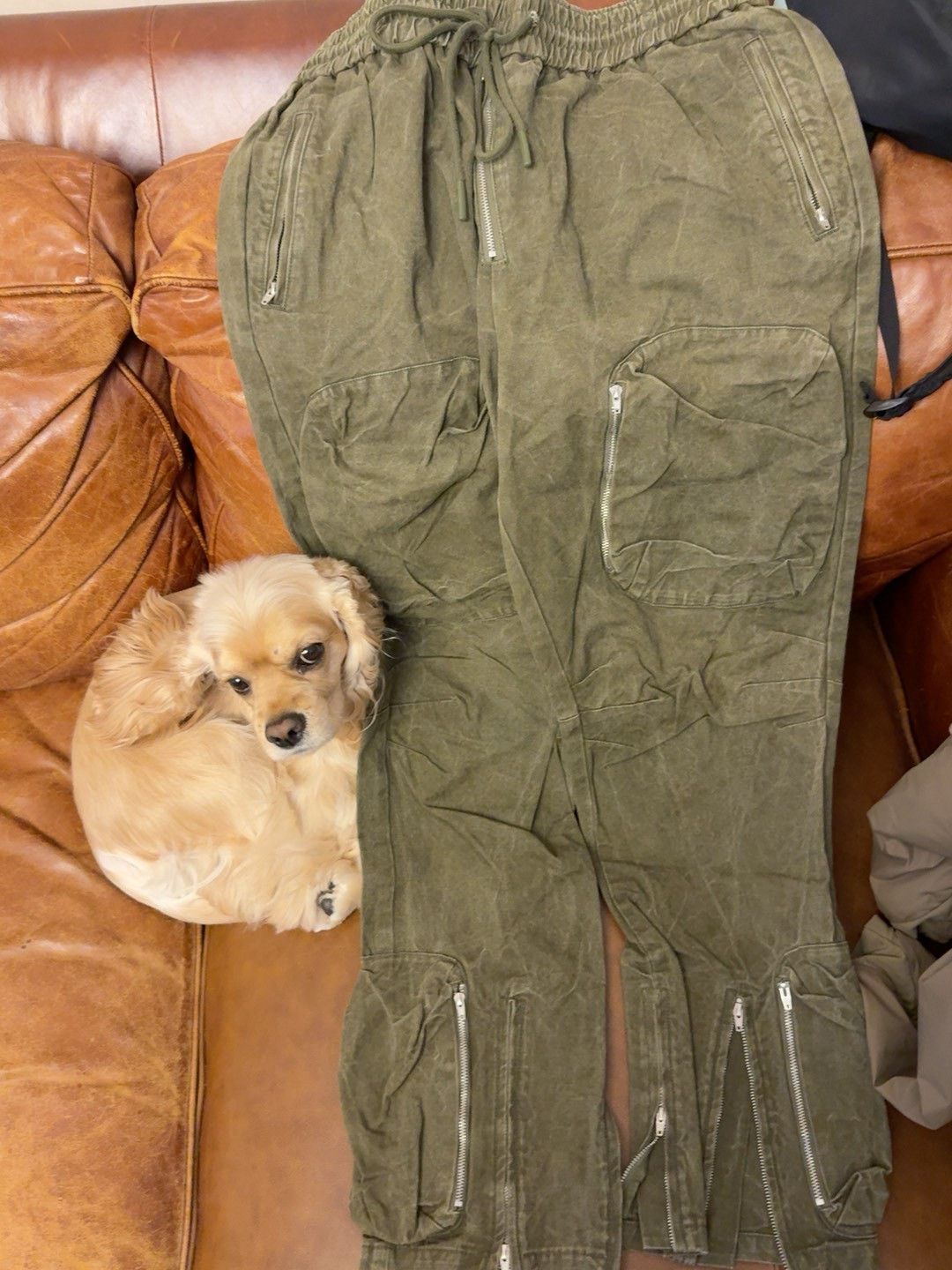 Roots Of Flight Humble Flight Cargo Multi-Zip Pocket Pants Size US 32 / EU 48 - 1 Thumbnail