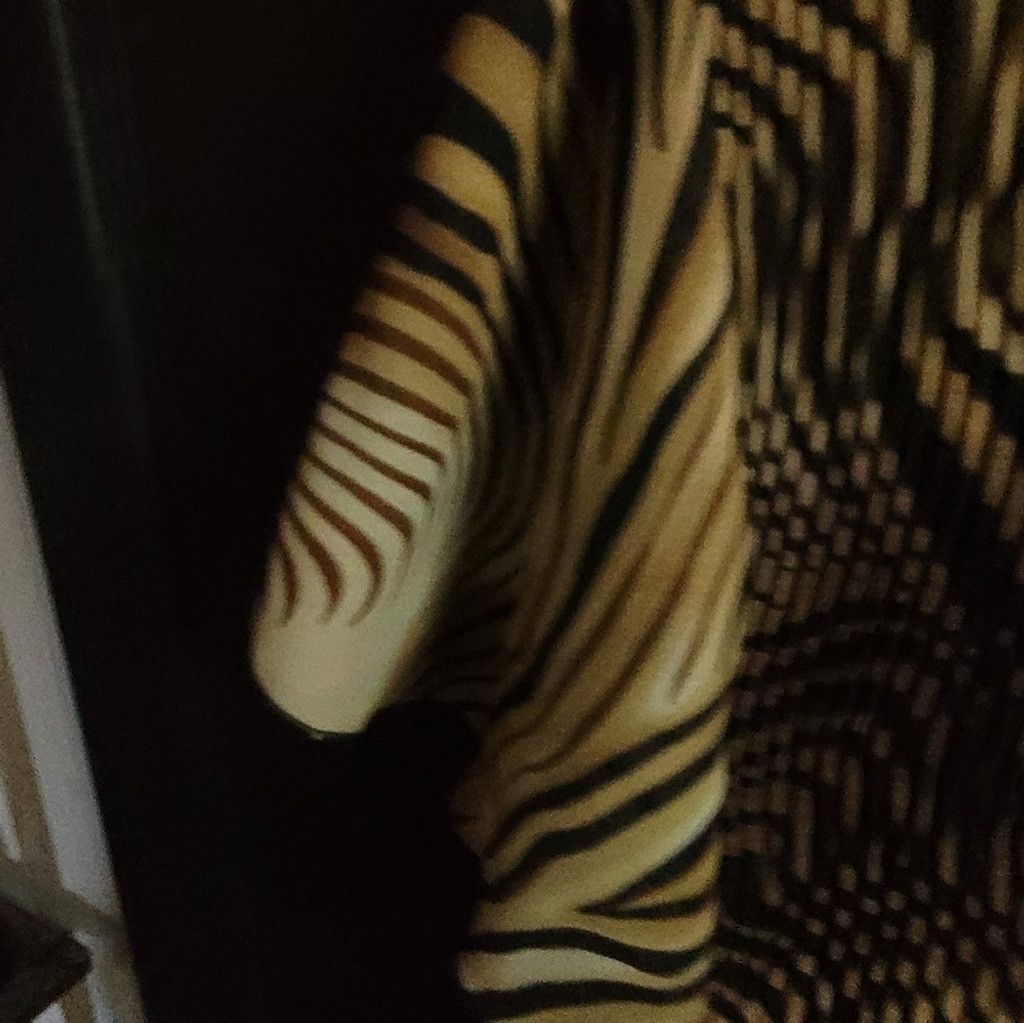 Other Dressbarn woman, NWOT, black & tan stripe blouse,14/16. Size XXL / US 16-18 / IT 52-54 - 4 Thumbnail