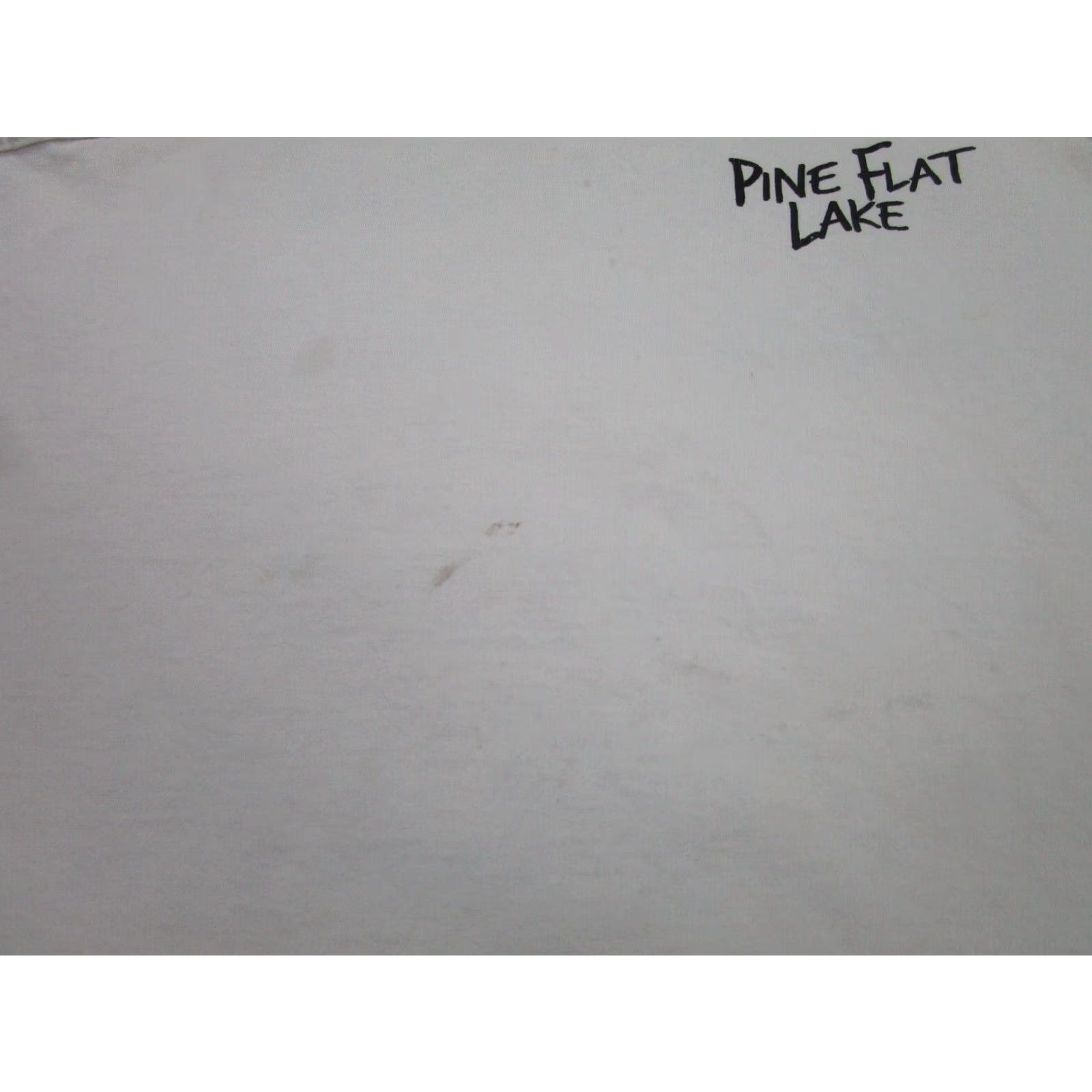 Gildan VINTAGE Gildan Pine Flat Lake Shirt 90s Grunge Beer Fisherman Tank Top Mens XL White Size US XL / EU 56 / 4 - 4 Thumbnail
