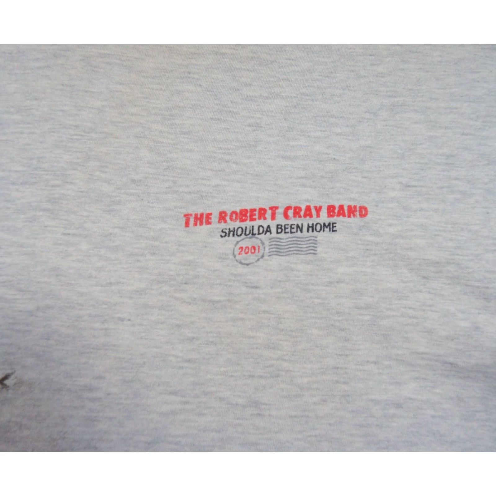 Hanes VINTAGE Hanes The Robert Gray Band Shirt Men XL Gray Cotton Short Sleeve Crew Neck Logo Tee 2000s Band Music Mens XLarge (Guitarist) Size US XL / EU 56 / 4 - 5 Thumbnail