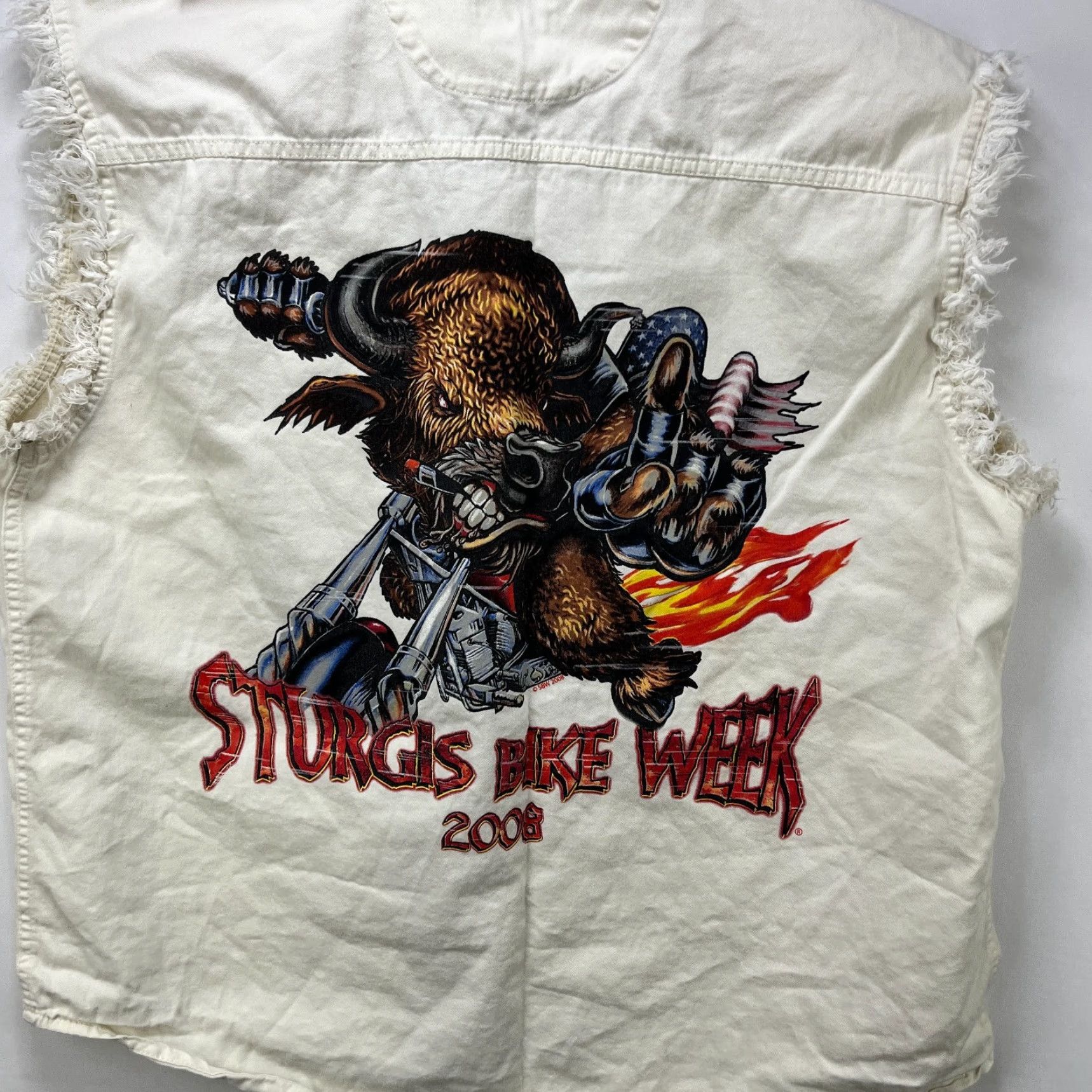 Harley Davidson VINTAGE Harley-Davidson Y2K Sturgis Bike Week Flames Sleeveless Button Up Shirt USA XL Bi Size US XL / EU 56 / 4 - 2 Thumbnail