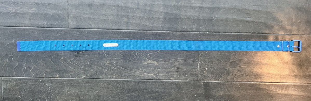 Blue Web Belt with Anodized Buckle