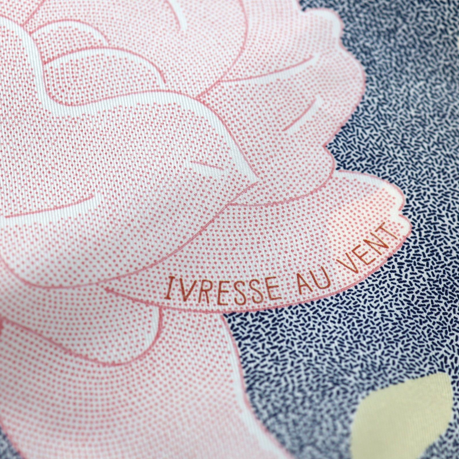 Hermes New with Box HERMES Ivresse Au Vent 70 Silk Scarf Size ONE SIZE - 3 Thumbnail