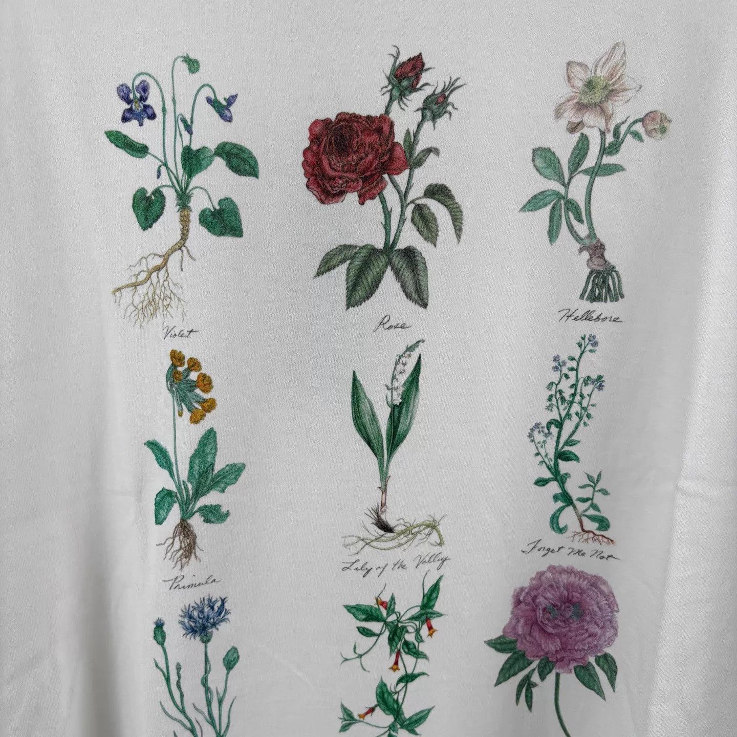 Dior Dior Botanical Specimen Print Short Sleeve Tee M Size US M / EU 48-50 / 2 - 5 Thumbnail