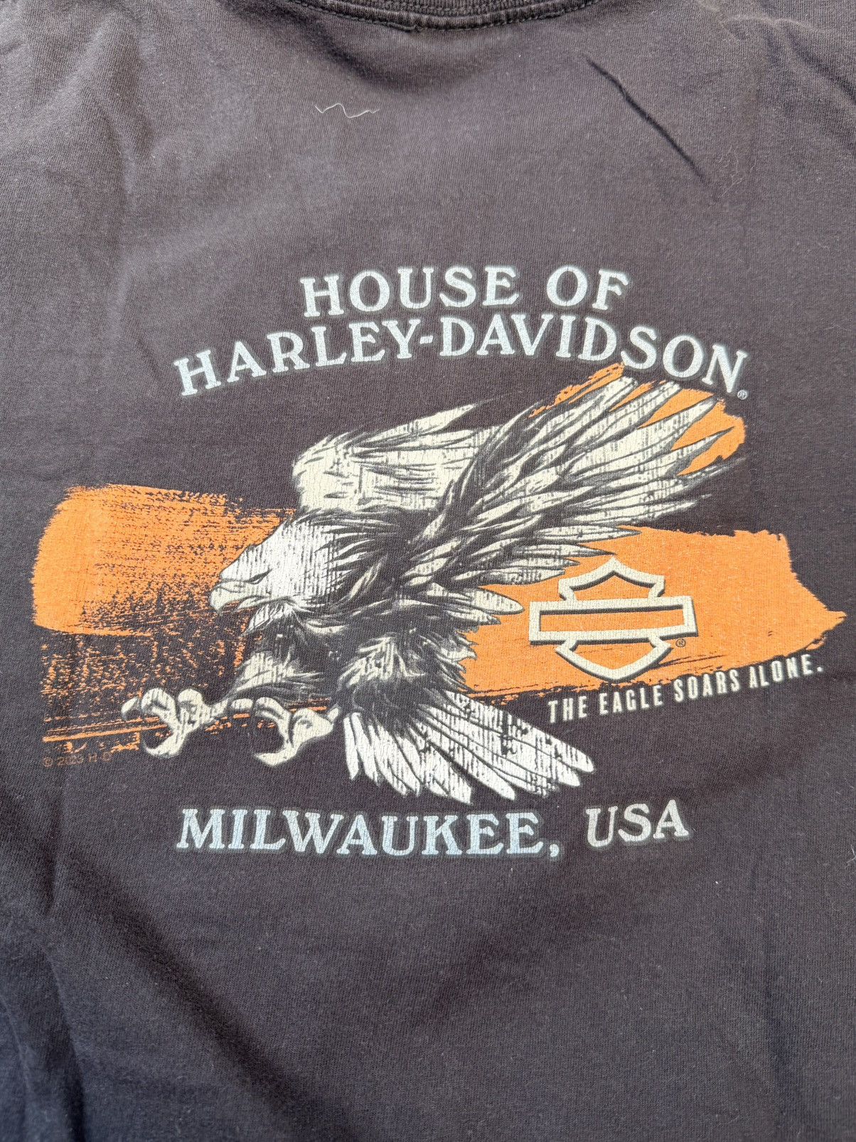 Harley Davidson 2023 Harley Davidson Milwaukee USA tee Size Large Size US L / EU 52-54 / 3 - 5 Thumbnail