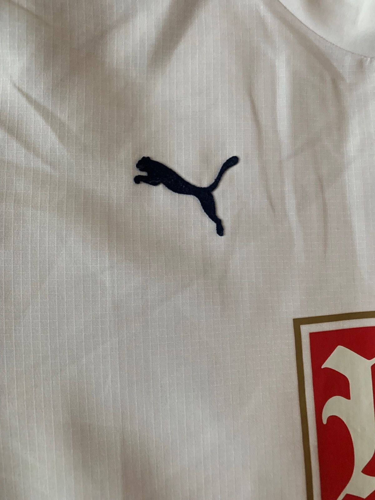 Puma Puma Tottenham Hotspur Men's Jersey Size M Size US M / EU 48-50 / 2 - 3 Thumbnail