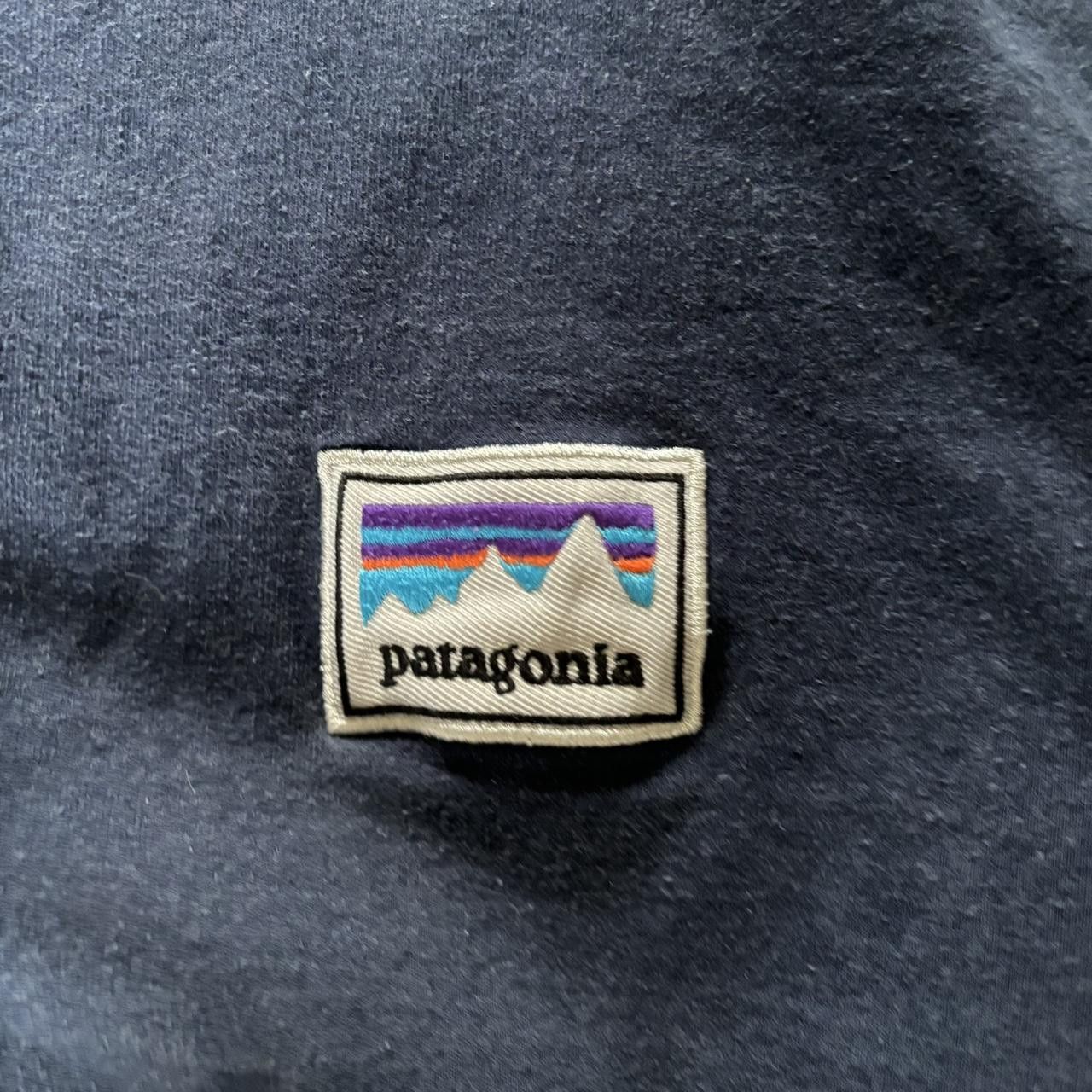 Patagonia patagonia crewneck Size US S / EU 44-46 / 1 - 2 Thumbnail