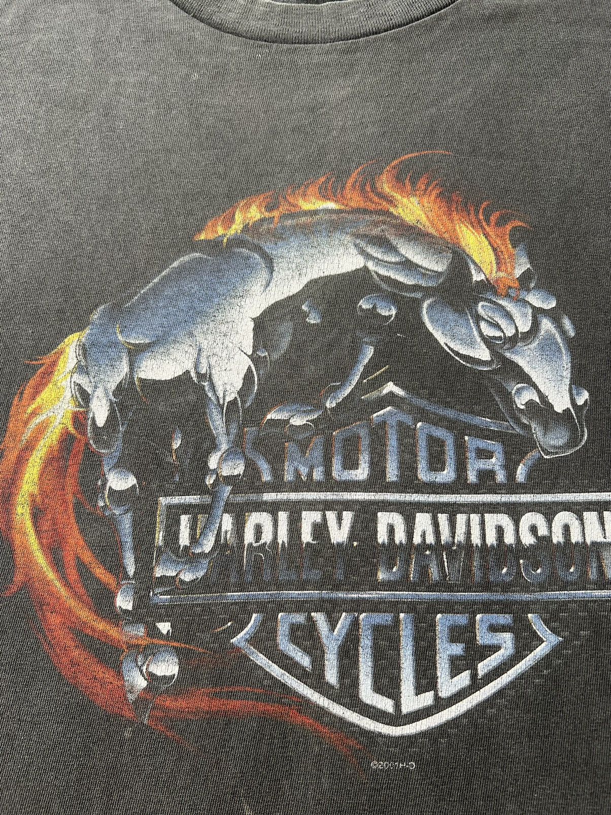 Harley Davidson Vintage 2001 Harley Davidson Fire Horse Flame Daytona Tshirt Size US M / EU 48-50 / 2 - 4 Thumbnail