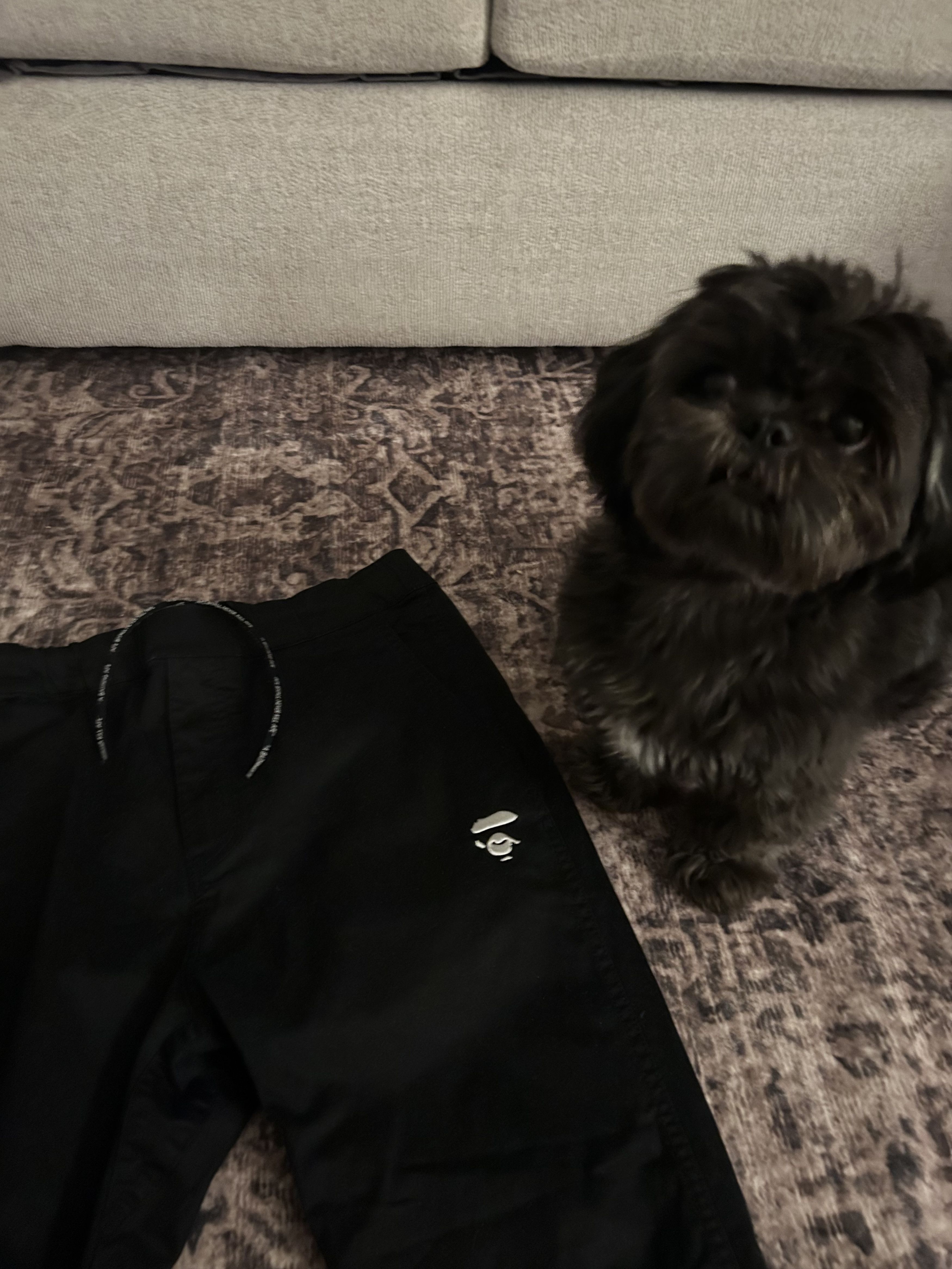 Bape Chino Pants Size US 30 / EU 46 - 18 Thumbnail