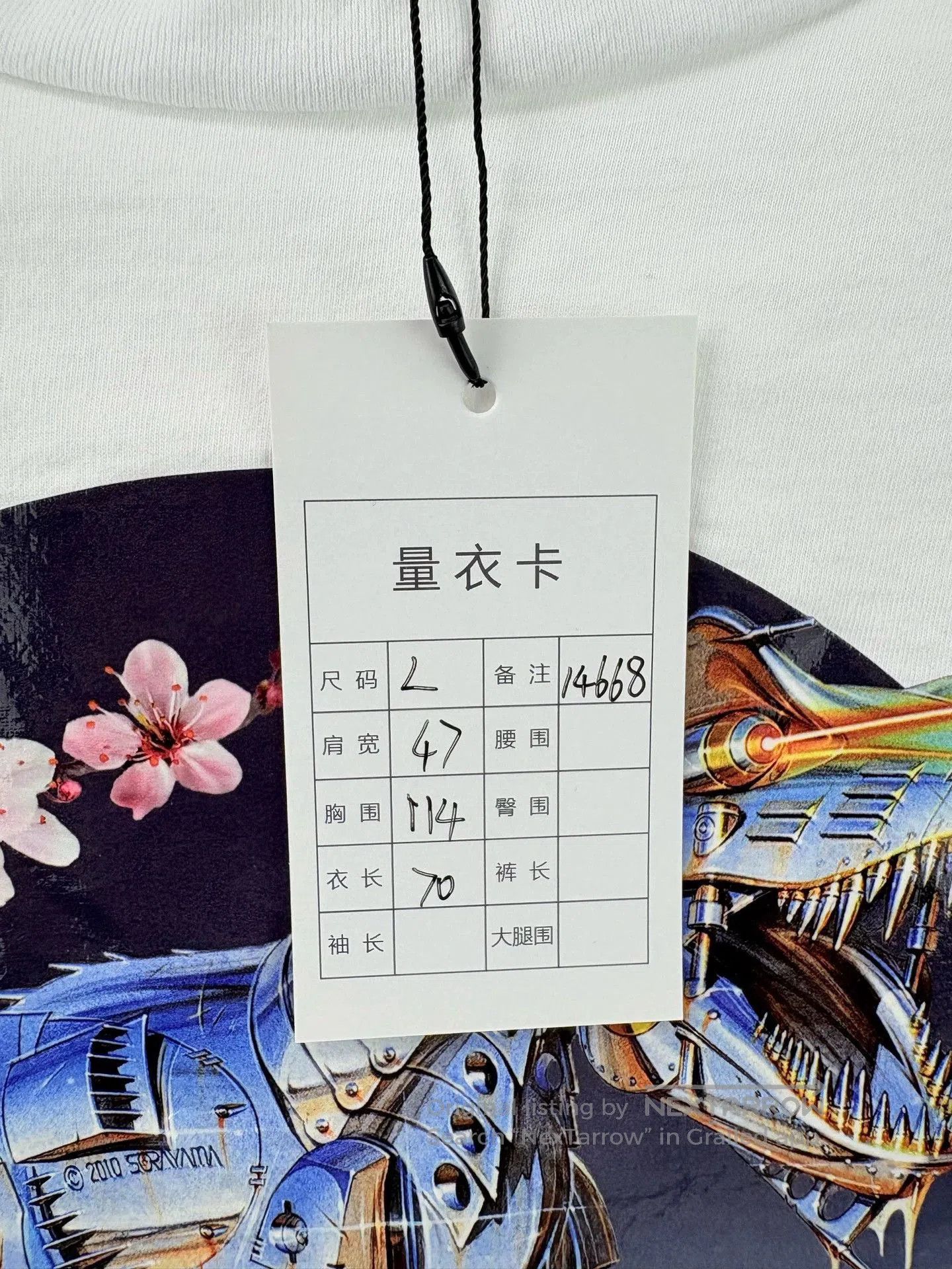 dior short sleeve dinosaur graphic t-shirt.