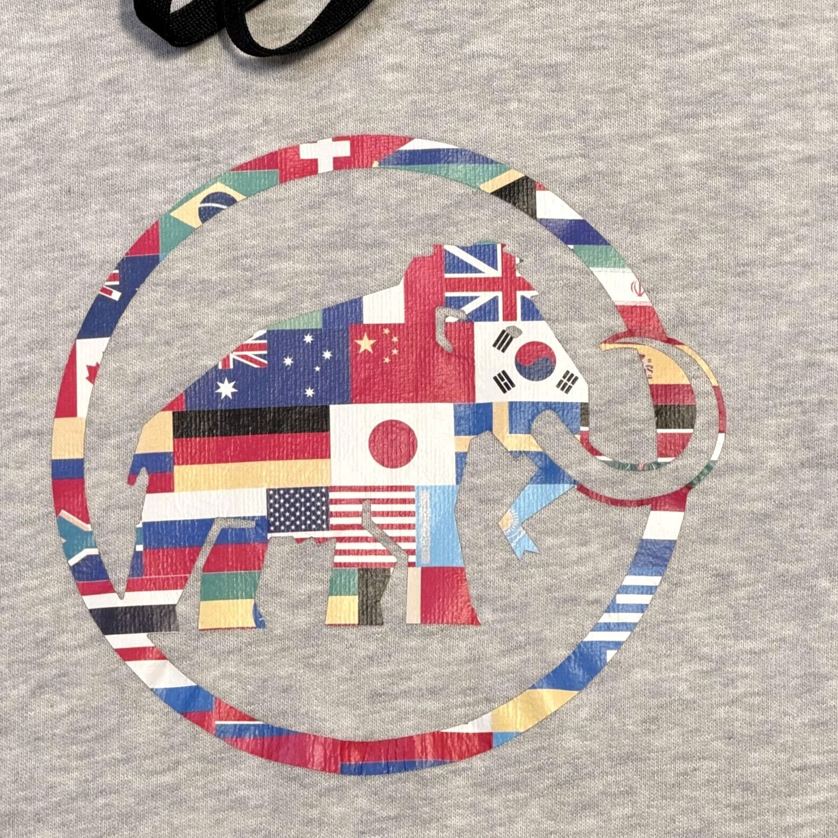 Mammut Mammut Hoodie Mens S Gray Pullover World Flags Mammoth Logo Outdoor Cotton Size US S / EU 44-46 / 1 - 2 Thumbnail