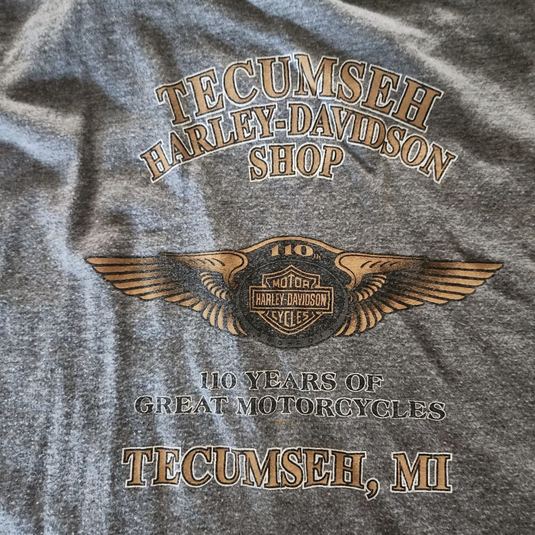 Harley Davidson Harley-Davidson T-Shirt Tecumseh Michigan Men's XL Athletic Fit Double Sided Gray Cotton Crew Neck Short Sleeve Shirt Size XL Mens Size US XL / EU 56 / 4 - 4 Thumbnail