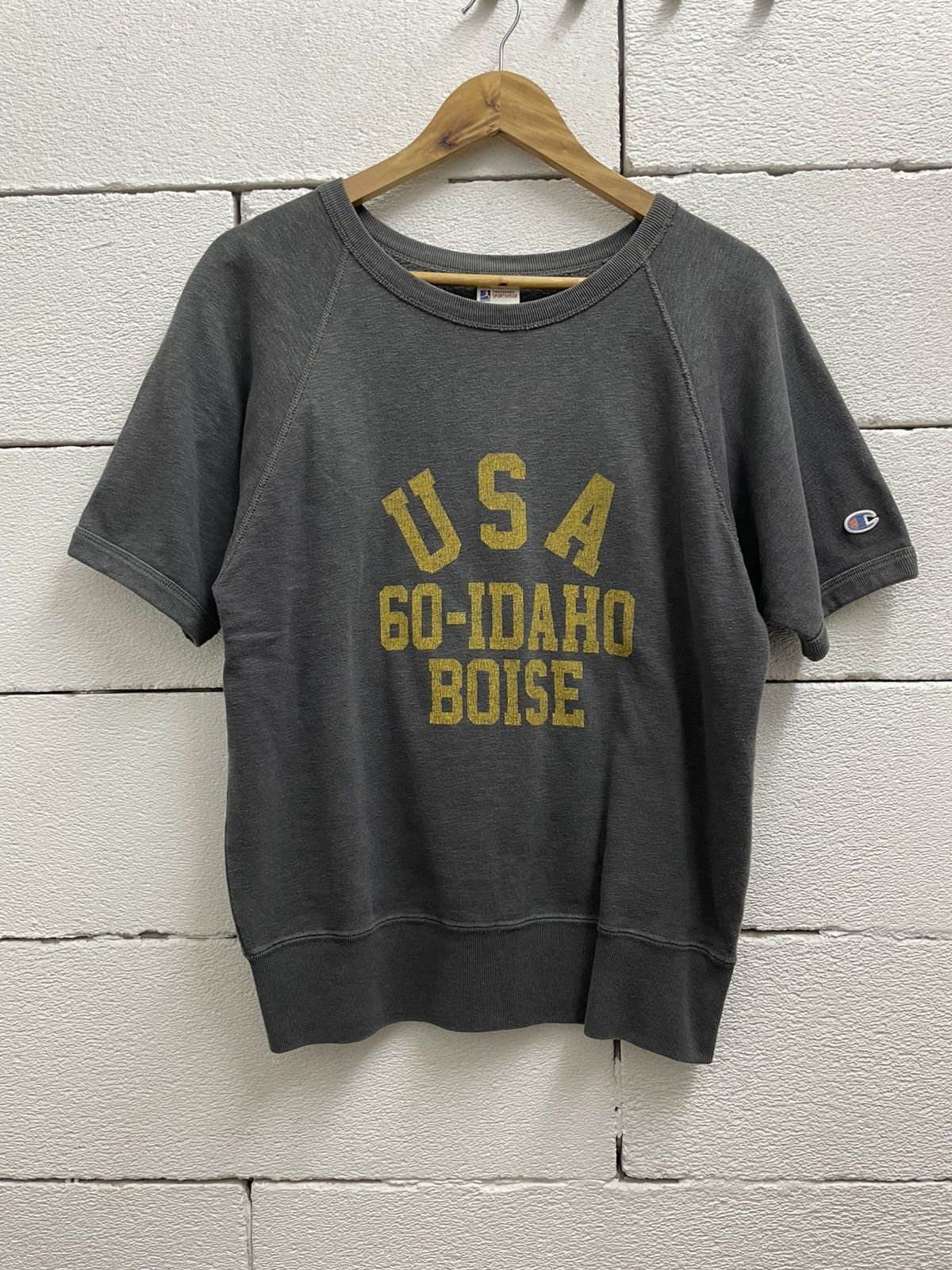 Champion Vintage Champion Sun Faded Distressed Sweatshirt Grunge Size US M / EU 48-50 / 2 - 1 Thumbnail