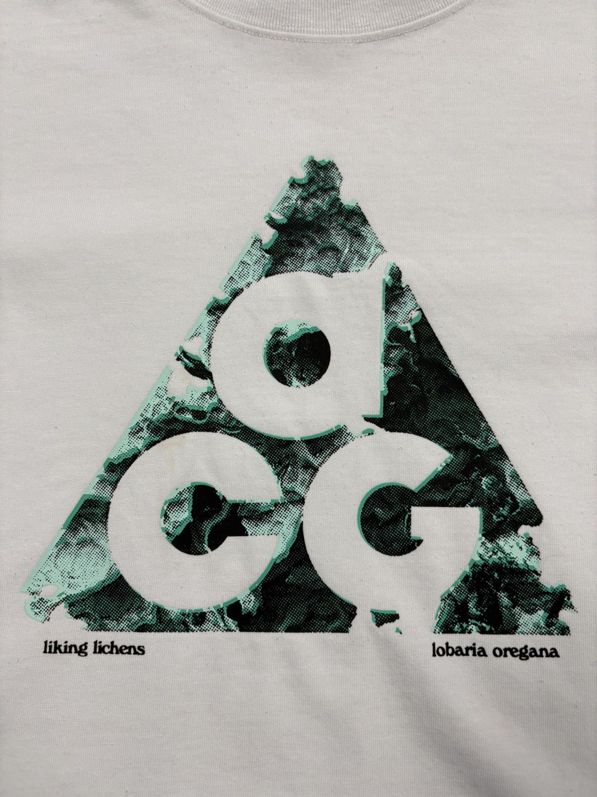 Nike ACG Nike ACG Big Logo Liking Liches Graphic T-Shirt White Medium Size US M / EU 48-50 / 2 - 6 Thumbnail