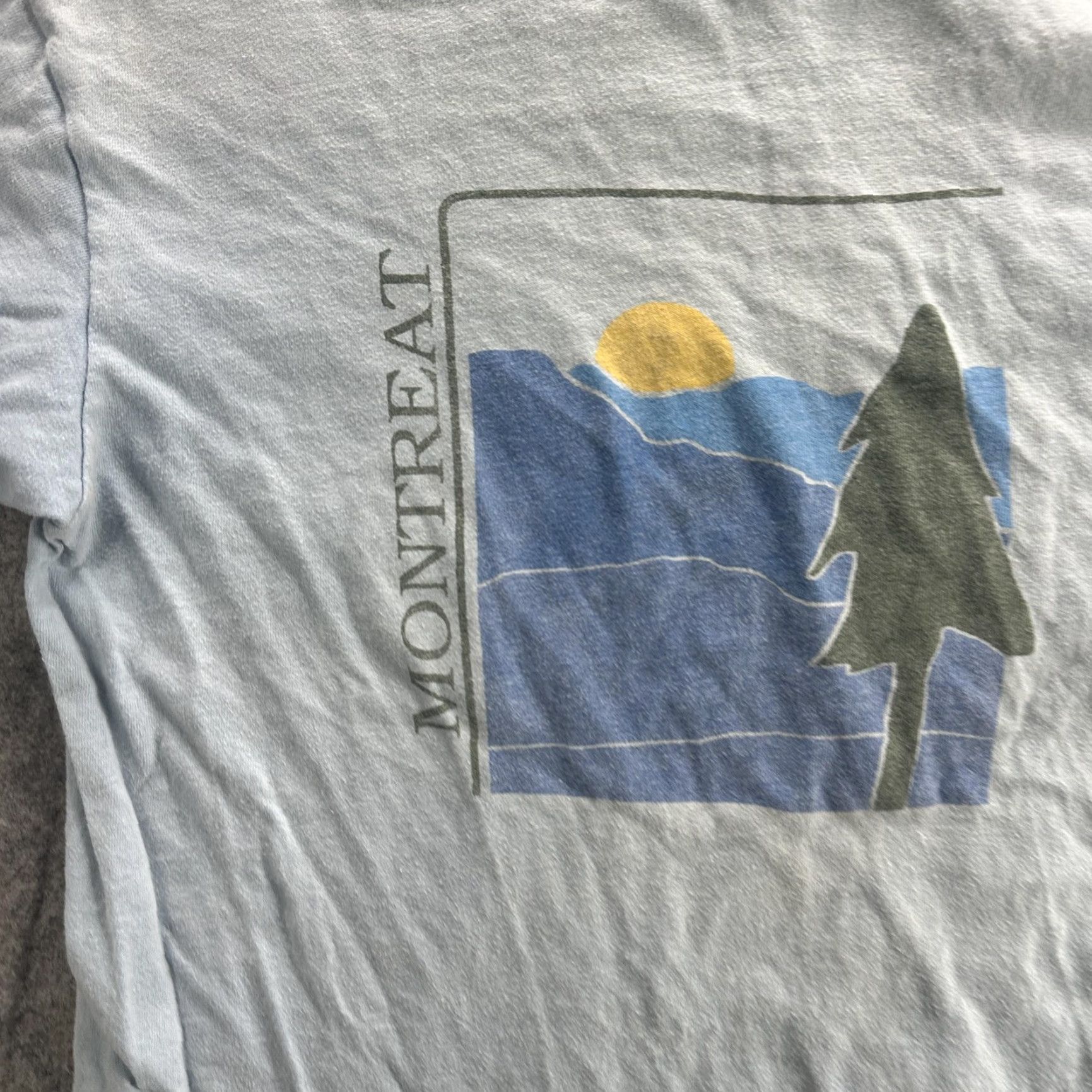 Hanes VINTAGE Hanes Montreat Shirt Mens Medium Blue Mountain Graphic Outdoors 90s Mens Size US M / EU 48-50 / 2 - 4 Thumbnail