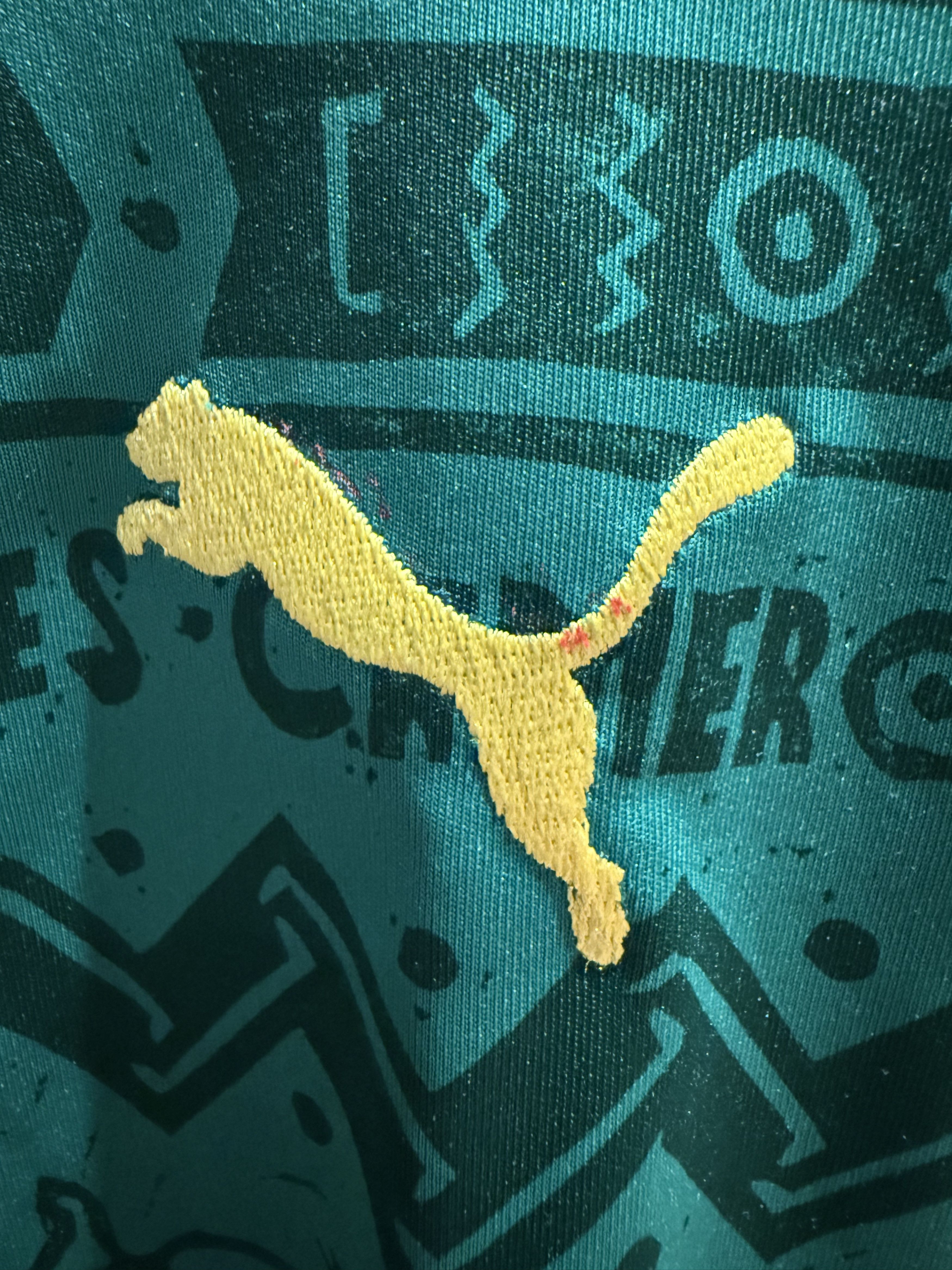 Puma Authentic Puma Cameroon (Cameroun) Football Jersey Size US M / EU 48-50 / 2 - 3 Thumbnail