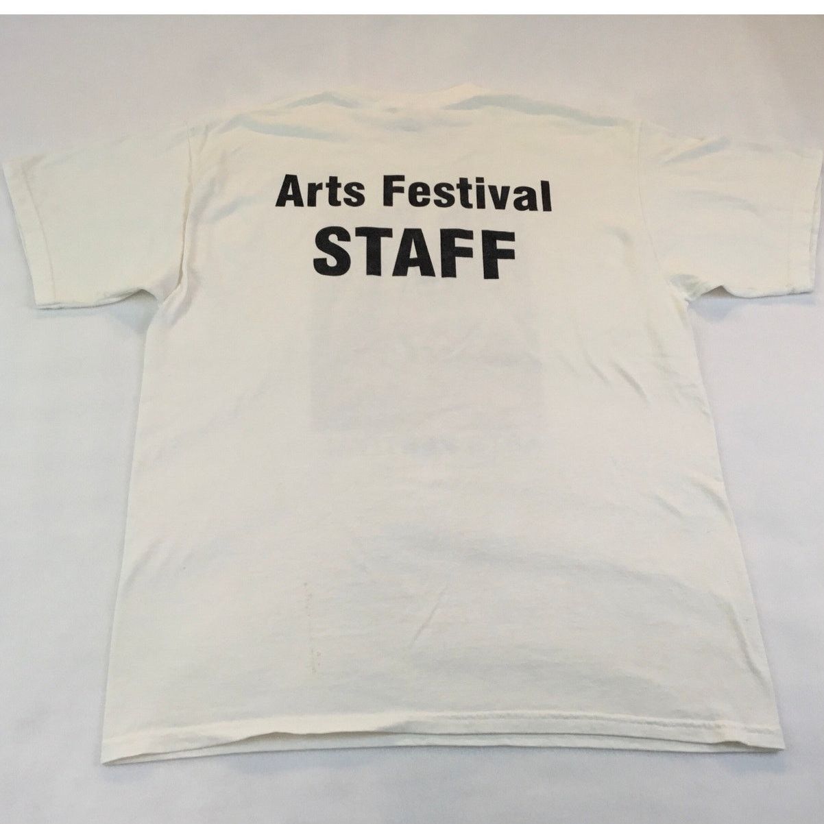 Gildan Cain Park 2007 Arts Festival Staff Cleveland OH T-Shirt L Size US L / EU 52-54 / 3 - 3 Thumbnail