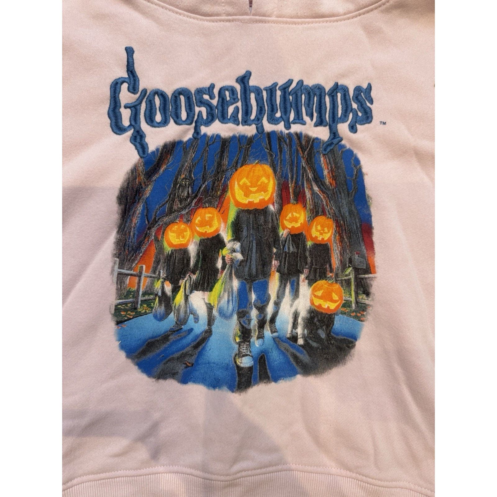 Other Authentic Goosebumps Embroidered Letters CroppedHoodie Large Size L / US 10 / IT 46 - 5 Thumbnail