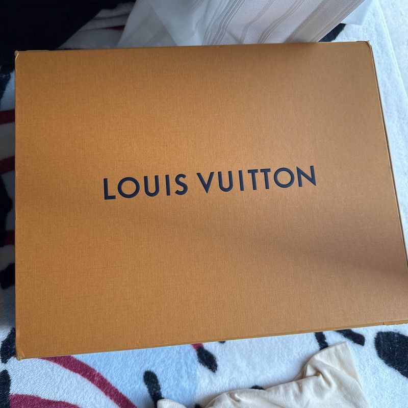 Louis Vuitton Louis Vuitton Trainer White Low-top Fashion Sneakers -2508 Size US 8 / EU 41 - 6 Thumbnail