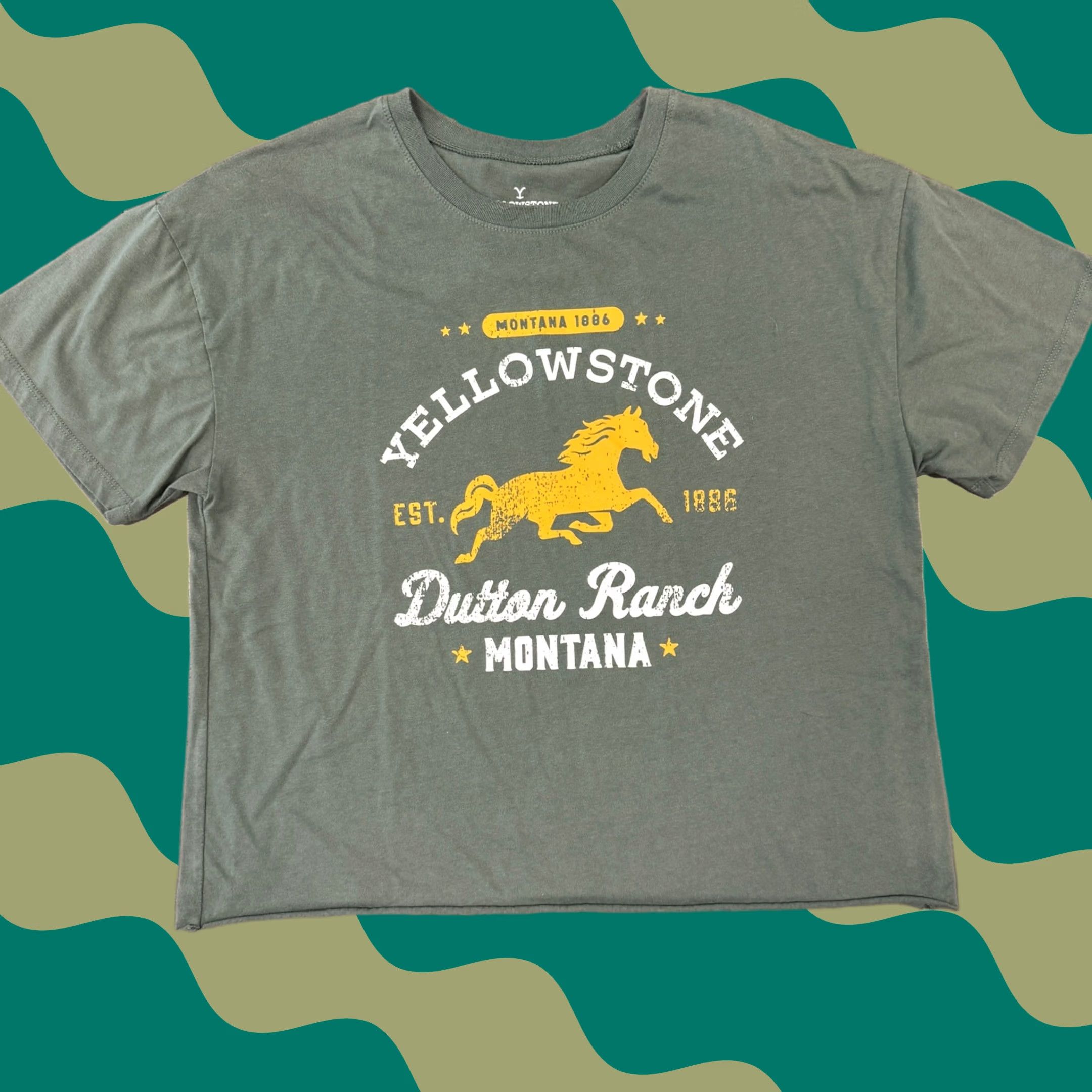 Vintage VINTAGE Yellowstone Graphic Tee Crop XXL Women's T-Shirt Sage Green Crew Neck Short Sleeve Graphic 2XL Size XXL / US 16-18 / IT 52-54 - 1 Thumbnail