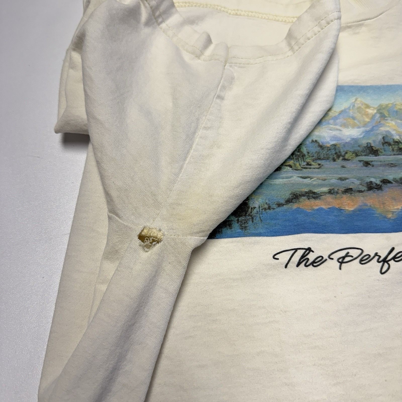Vintage VIntage The Perfect Day Nature T Shirt White Short Sleeve Size US XL / EU 56 / 4 - 6 Thumbnail