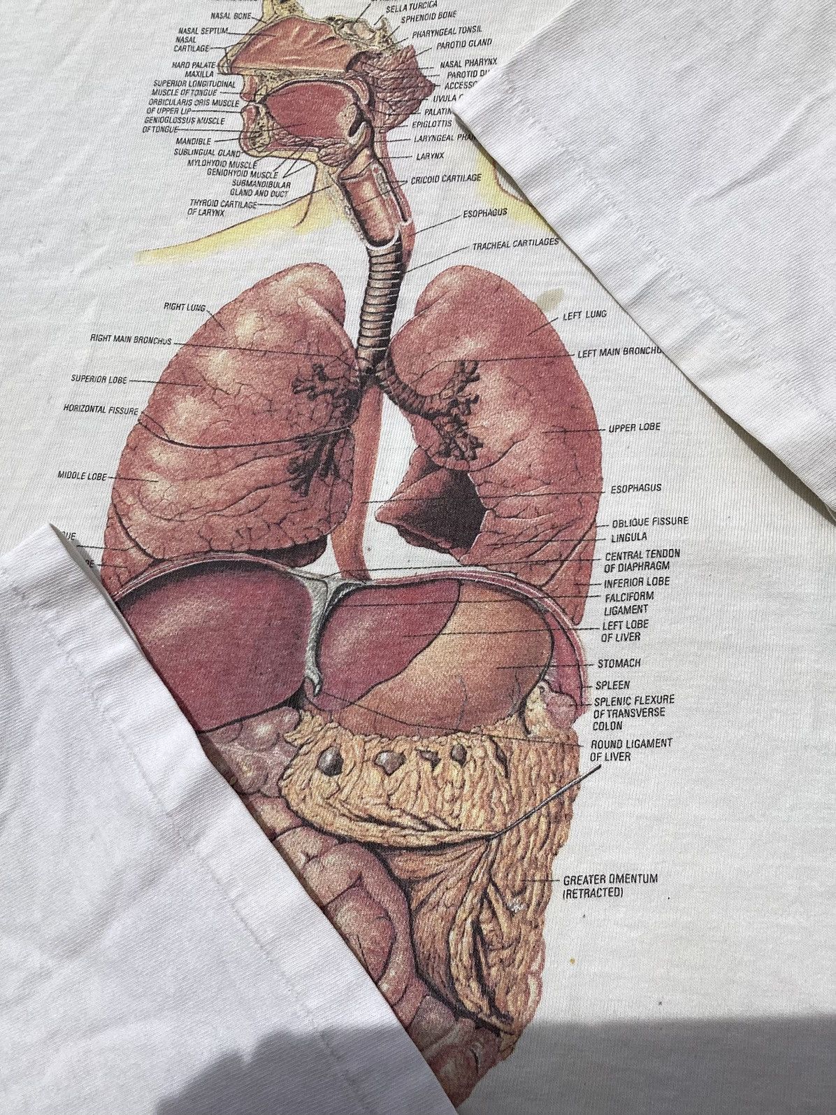 Other × Vintage Vintage 1991 Male organ anatomy chart single stitch T-shirt Size US L / EU 52-54 / 3 - 4 Thumbnail