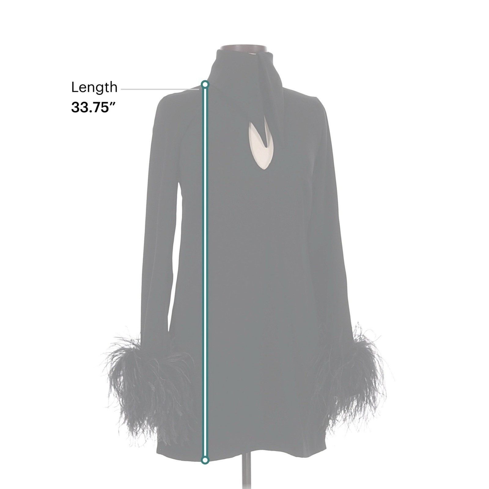 16Arlington 16ARLINGTON MICHELLE DRESS Collared OSTRICH FEATHER US 2 Size XS / US 0-2 / IT 36-38 - 6 Thumbnail