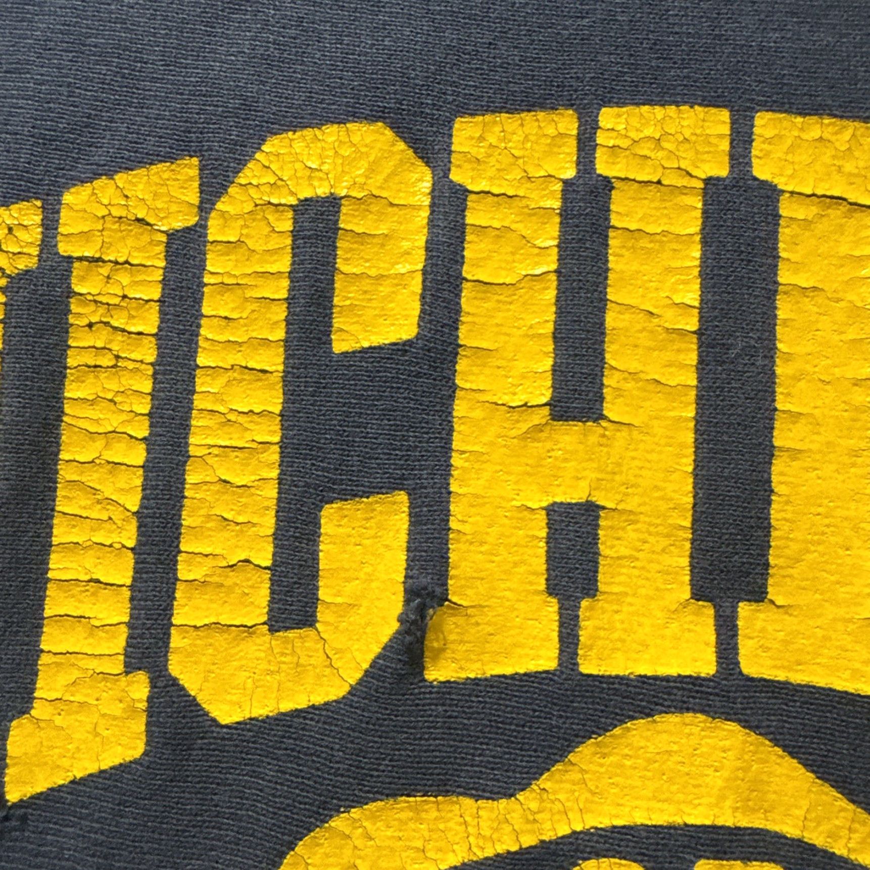 Soffe VINTAGE Soffe University Crewneck Sweatshirt L Men Blue 80’s Reverse Weave Reversible Michigan College pullover Mens Size US L / EU 52-54 / 3 - 5 Thumbnail