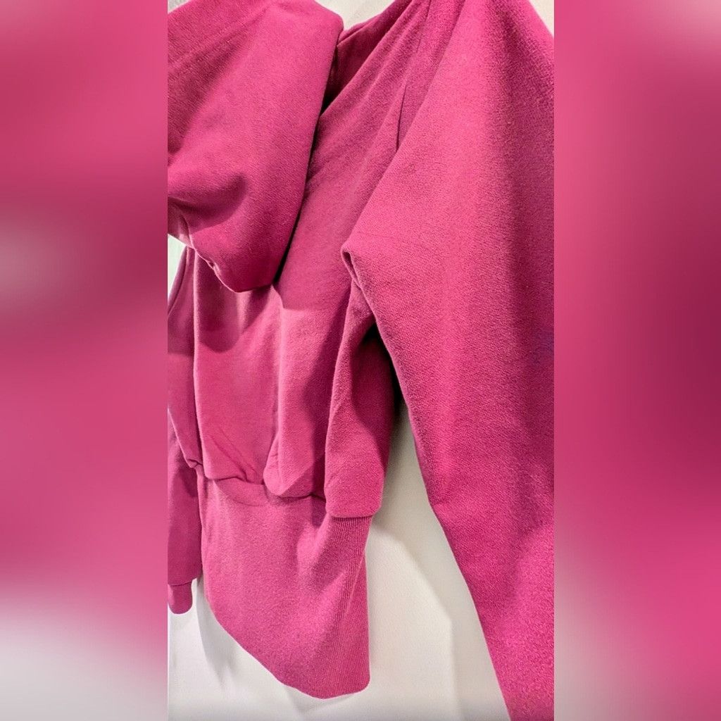 Balenciaga Balenciaga Pink Cropped Hoodie Sweatshirt Size XS / US 0-2 / IT 36-38 - 8 Thumbnail