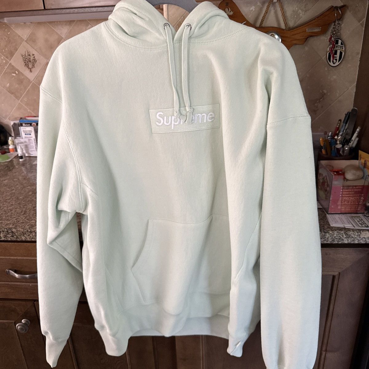 Supreme Box Logo Hoodie | Light Green | FW23 | NEW