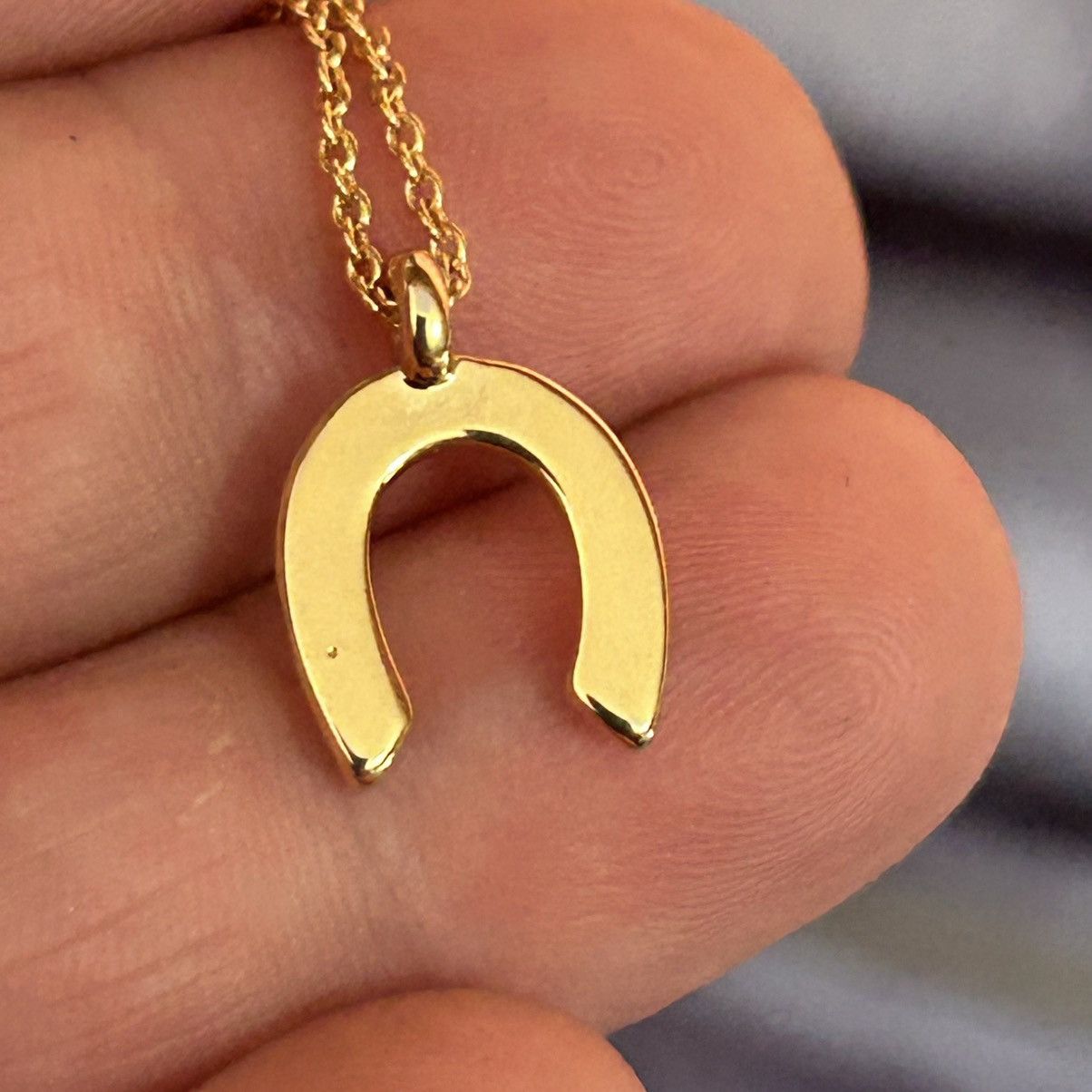 Vintage Vintage lucky horseshoe pendant on chain necklace Size ONE SIZE - 6 Thumbnail