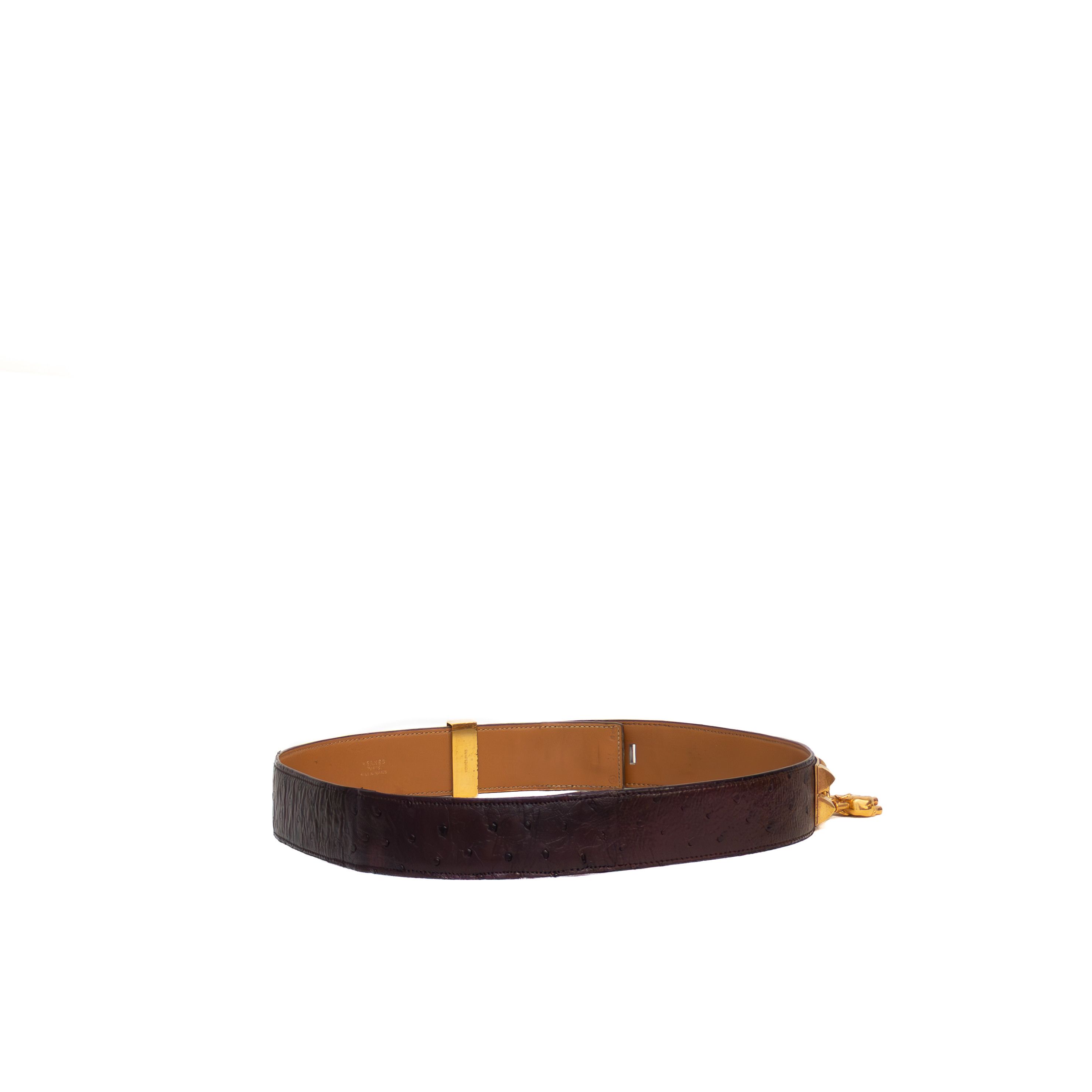 Hermes VTG 9000$ Hermès Collier de Chien Belt Ostrich Leather Size ONE SIZE - 5 Thumbnail