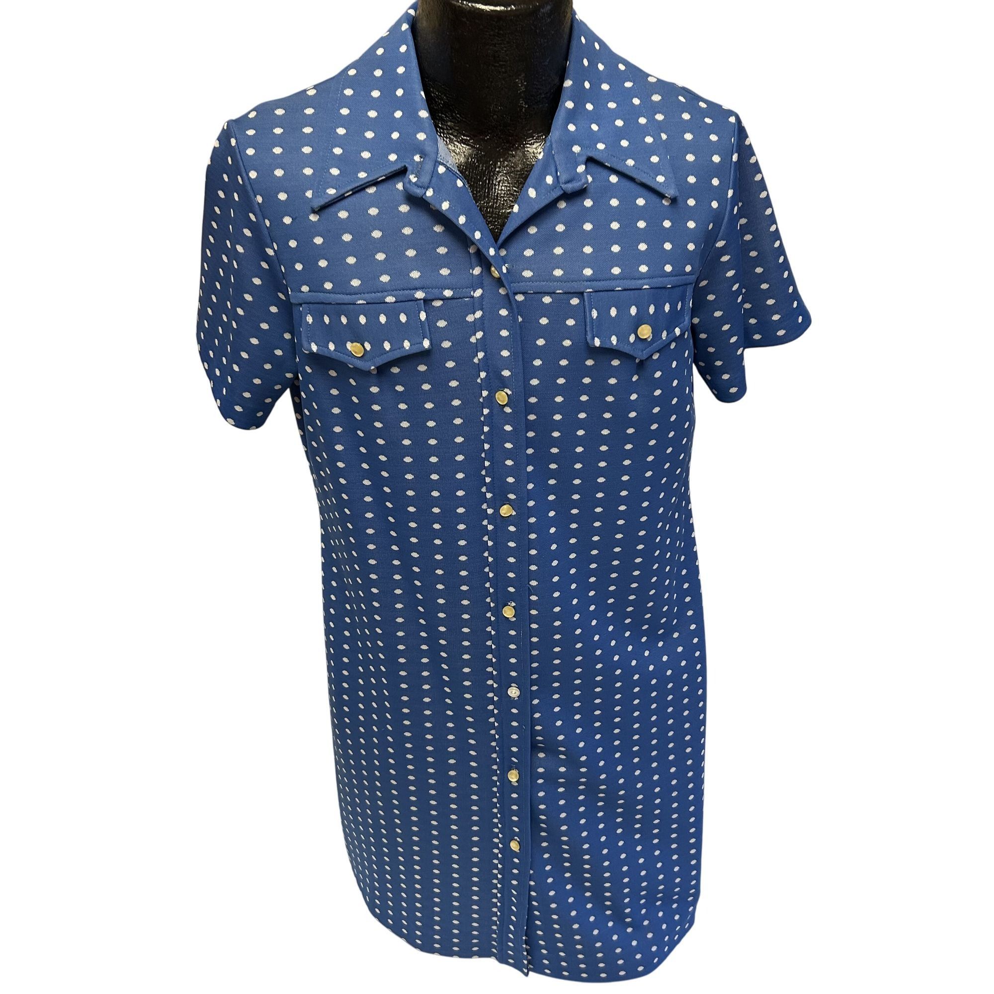 Vintage 60 70's MOD Blue POLKA DOT Collared House Dress 18.5 42 Size XXL / US 16-18 / IT 52-54 - 1 Thumbnail