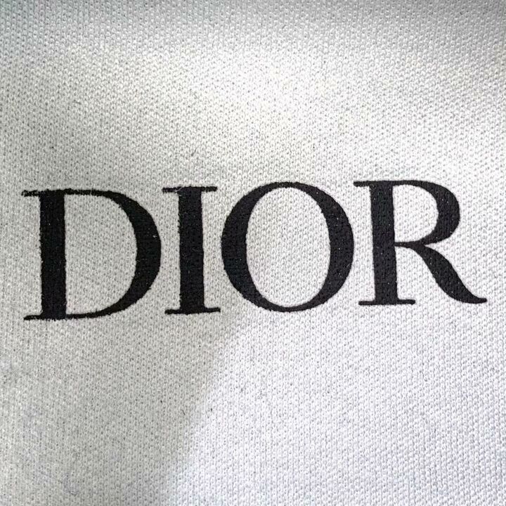 Dior Dior B27 Logo Sneakers Size 42 Size US 9 / EU 42 - 7 Thumbnail