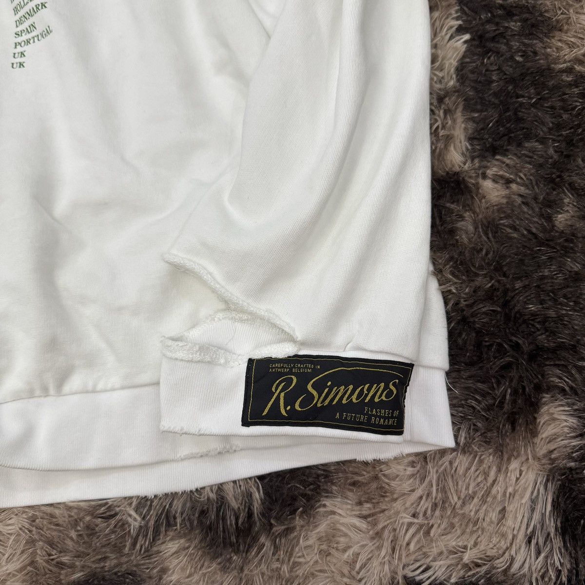 Raf Simons RAF SIMONS 2022SS Fallen Angel hoodie-DMC99 Size US M / EU 48-50 / 2 - 3 Thumbnail