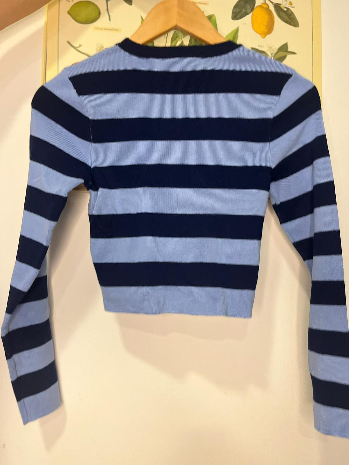 Zara Blue and light blue striped sweater Size S / US 4 / IT 40 - 1 Thumbnail
