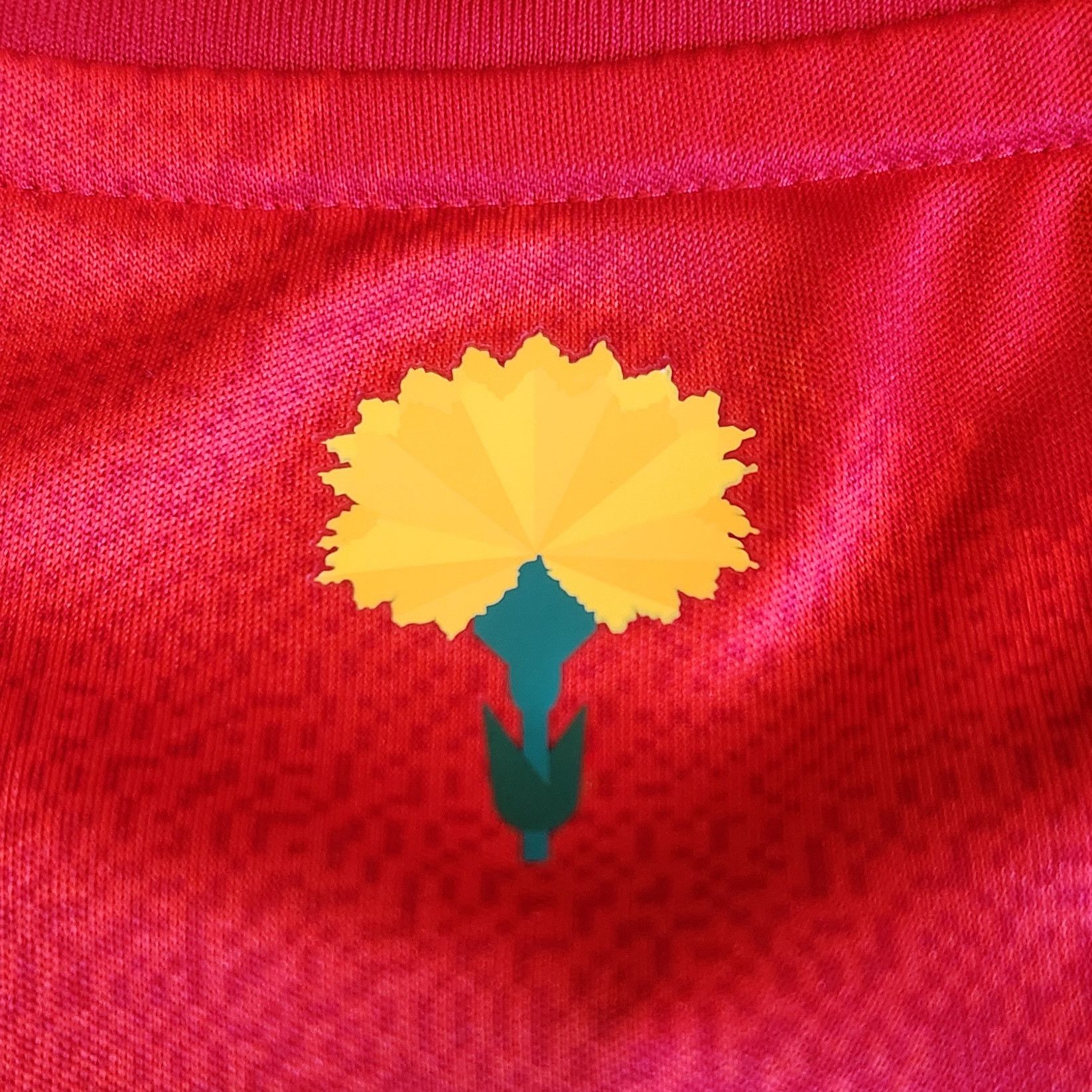 Adidas Authentic Spain GAVI 2024-2025 24/25 Home Jersey Shirt Kit Size L / US 10 / IT 46 - 10 Thumbnail