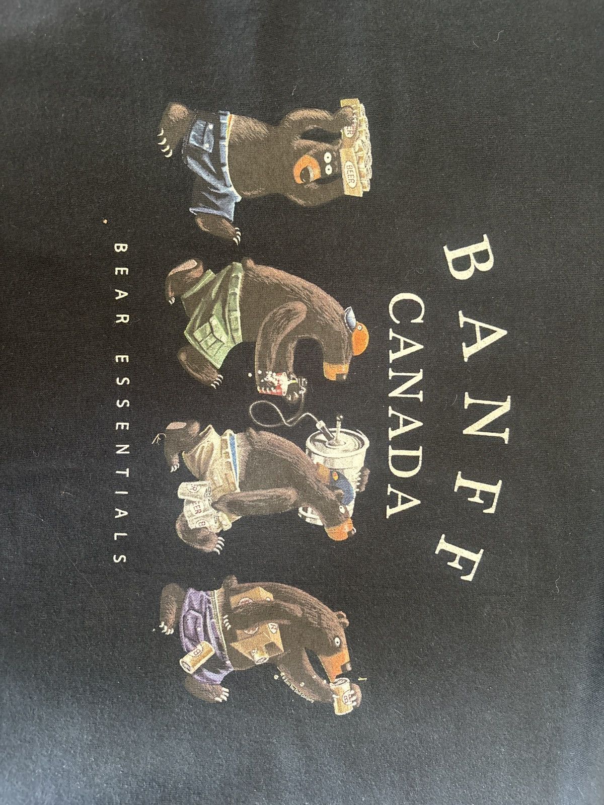 Gildan Vintage Banff Canda Bear Essentials Tee Size US L / EU 52-54 / 3 - 4 Thumbnail