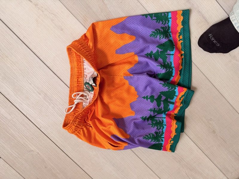 Eric Emanuel Eric Manuel Shorts Size US 32 / EU 48 - 3 Thumbnail