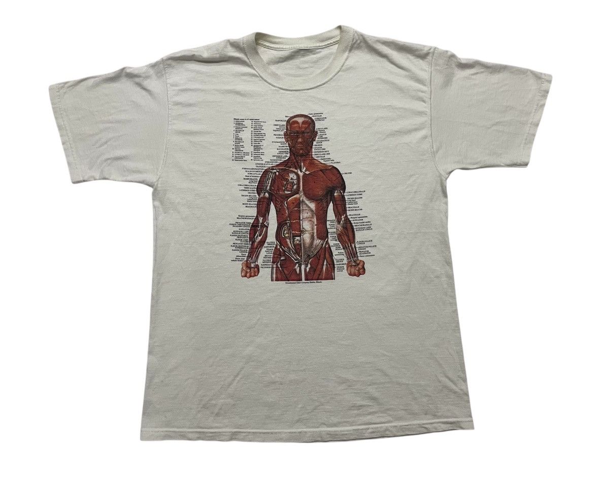 Fruit Of The Loom VINTAGE KURT COBAIN ANATOMICAL HUMAN SHIRT Size US L / EU 52-54 / 3 - 1 Thumbnail