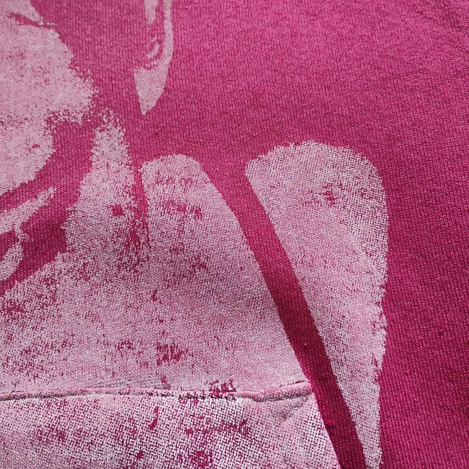 Band Tees Deftones Around The Fur Hoodie Hanes Medium Size US M / EU 48-50 / 2 - 8 Thumbnail