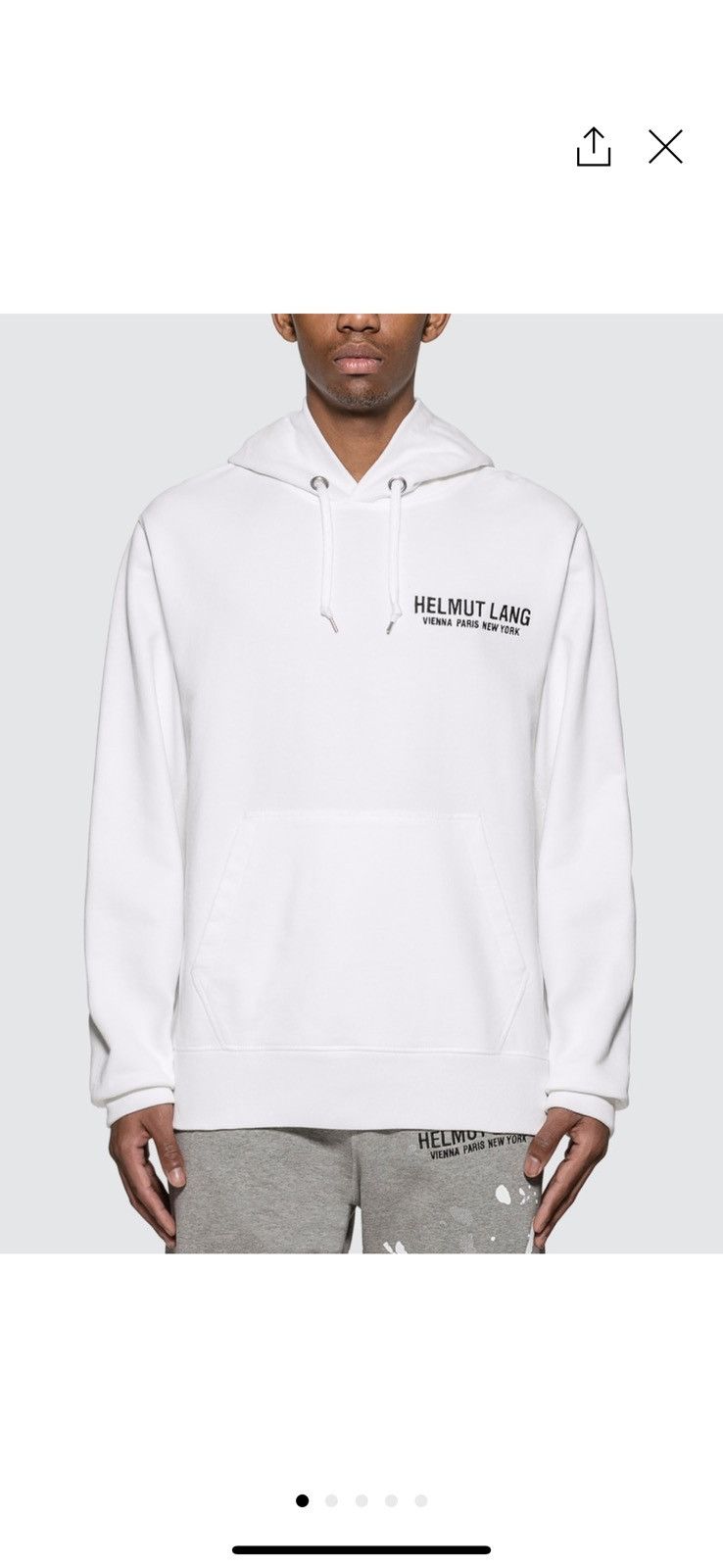 Helmut Lang Helmut Lang Eagle Pop Over Hoodie Size US L / EU 52-54 / 3 - 4 Thumbnail