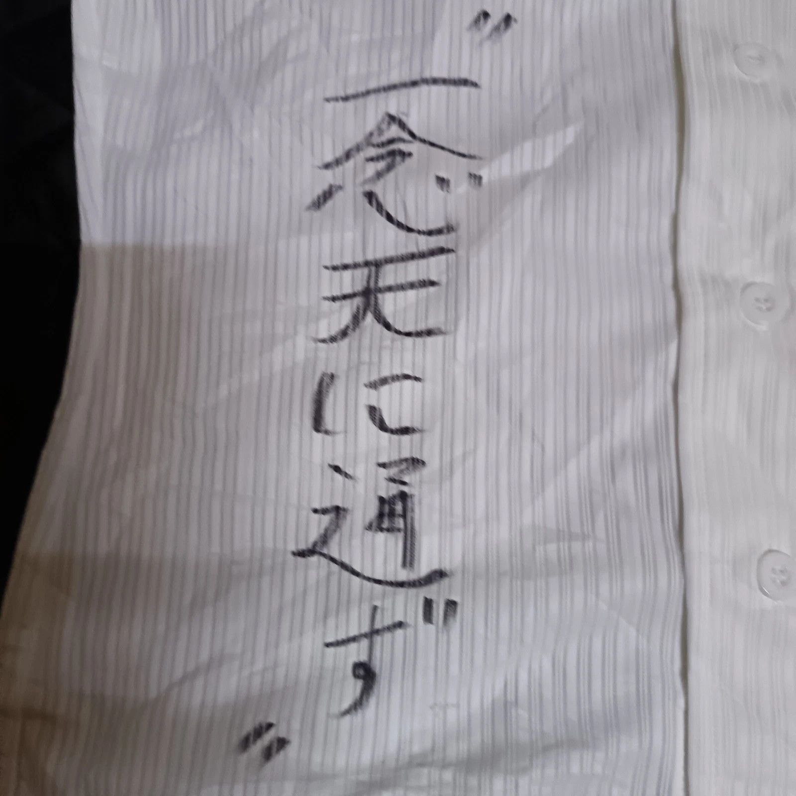 Mizuno Aichi Dione Haruna Tadano JWBL Japanese Baseball Jersey Size M / US 6-8 / IT 42-44 - 4 Thumbnail