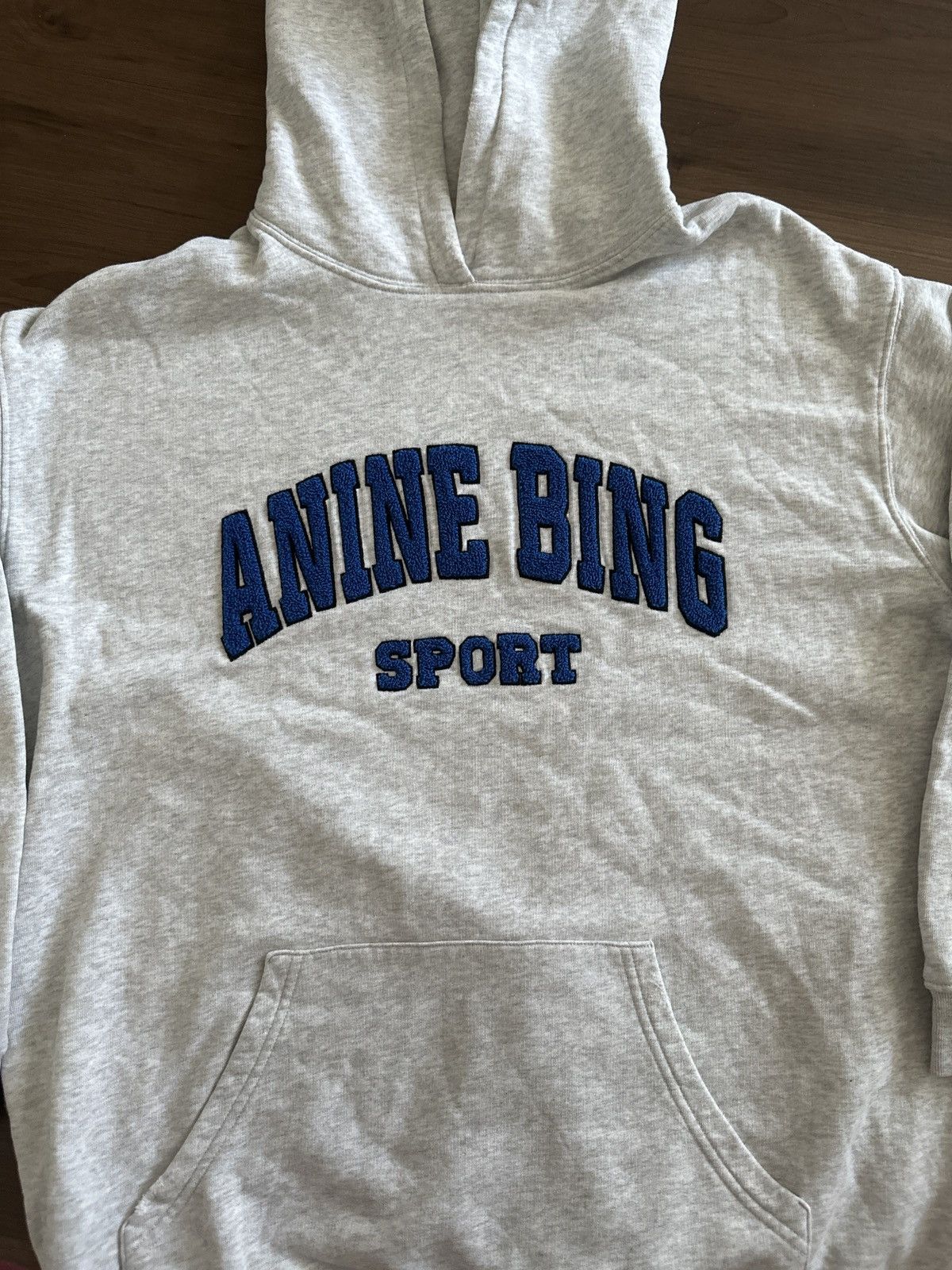 image of Anine Bing Sport Harvey Hoodie in Grey, Women's (Size 2XS)