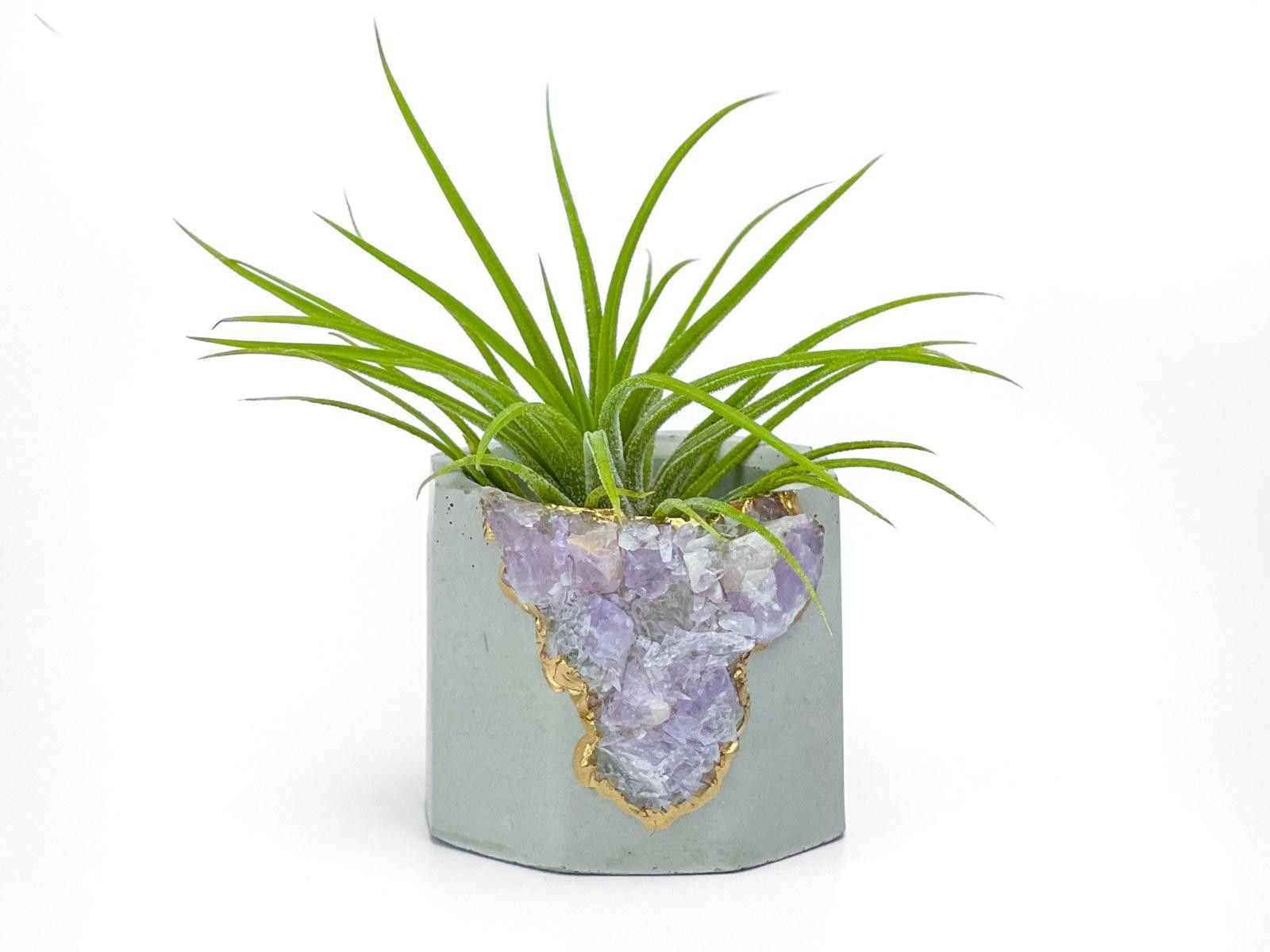 Other Amethyst Crystal Geode Planter Concrete Succulent Pot Size ONE SIZE - 1 Thumbnail