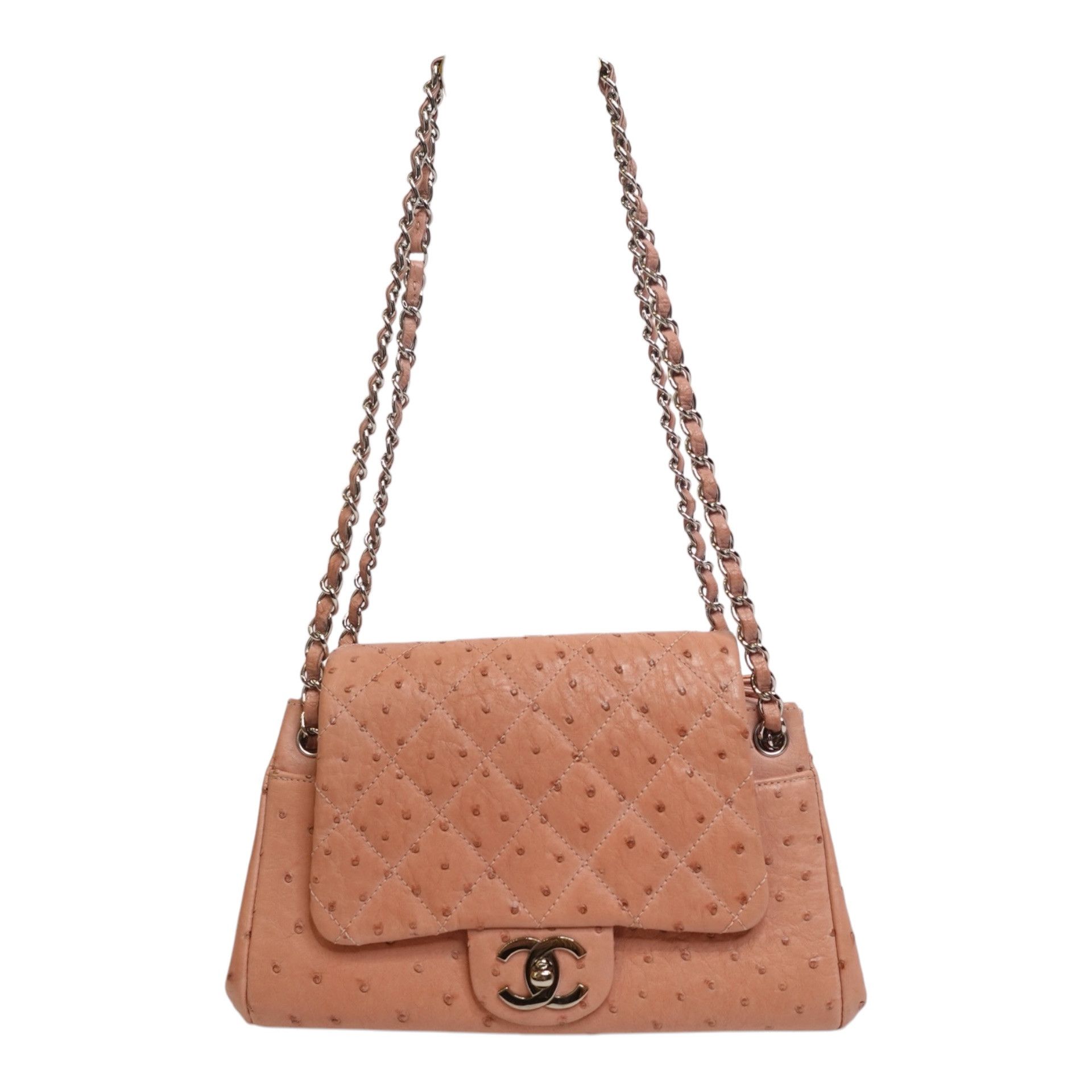 Chanel Chanel Ostrich Accordion Flap Bag Size ONE SIZE - 2 Thumbnail