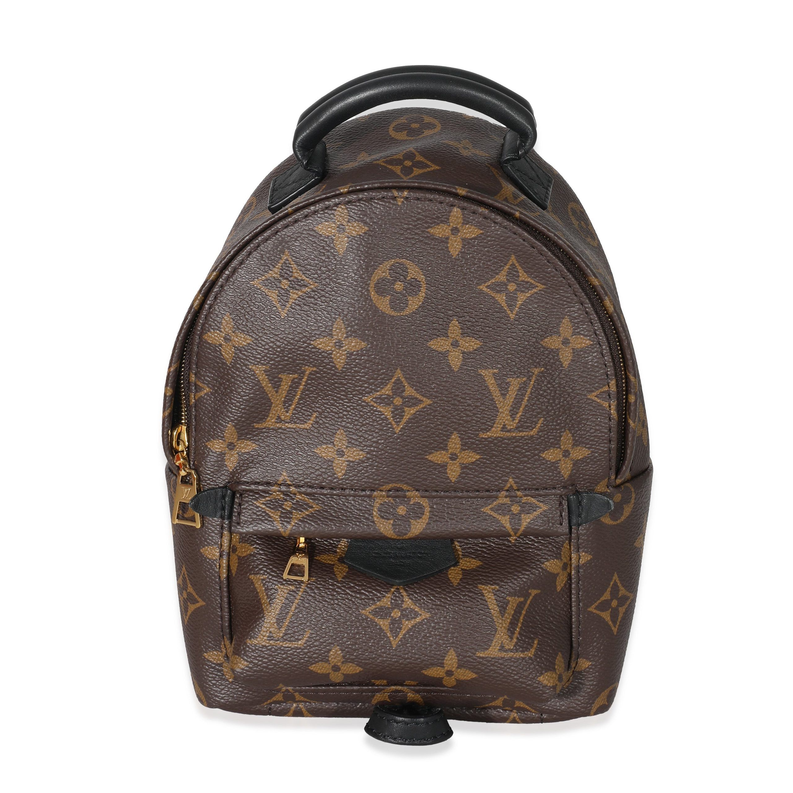 image of Louis Vuitton Monogram Mini Palm Spring Backpack in Brown, Women's