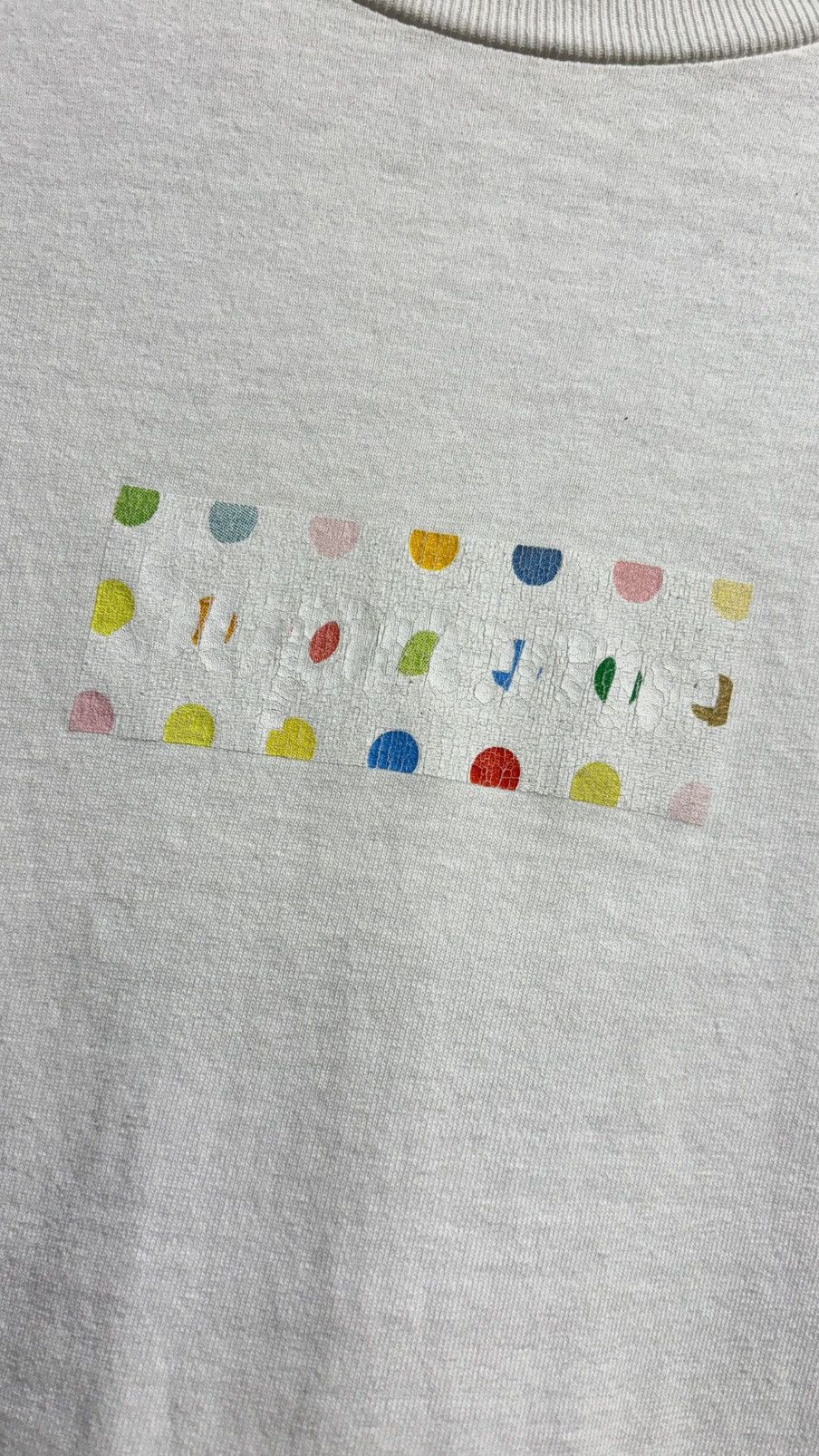 Supreme FW09 Supreme Damien Hirst Box Logo Size US S / EU 44-46 / 1 - 3 Thumbnail