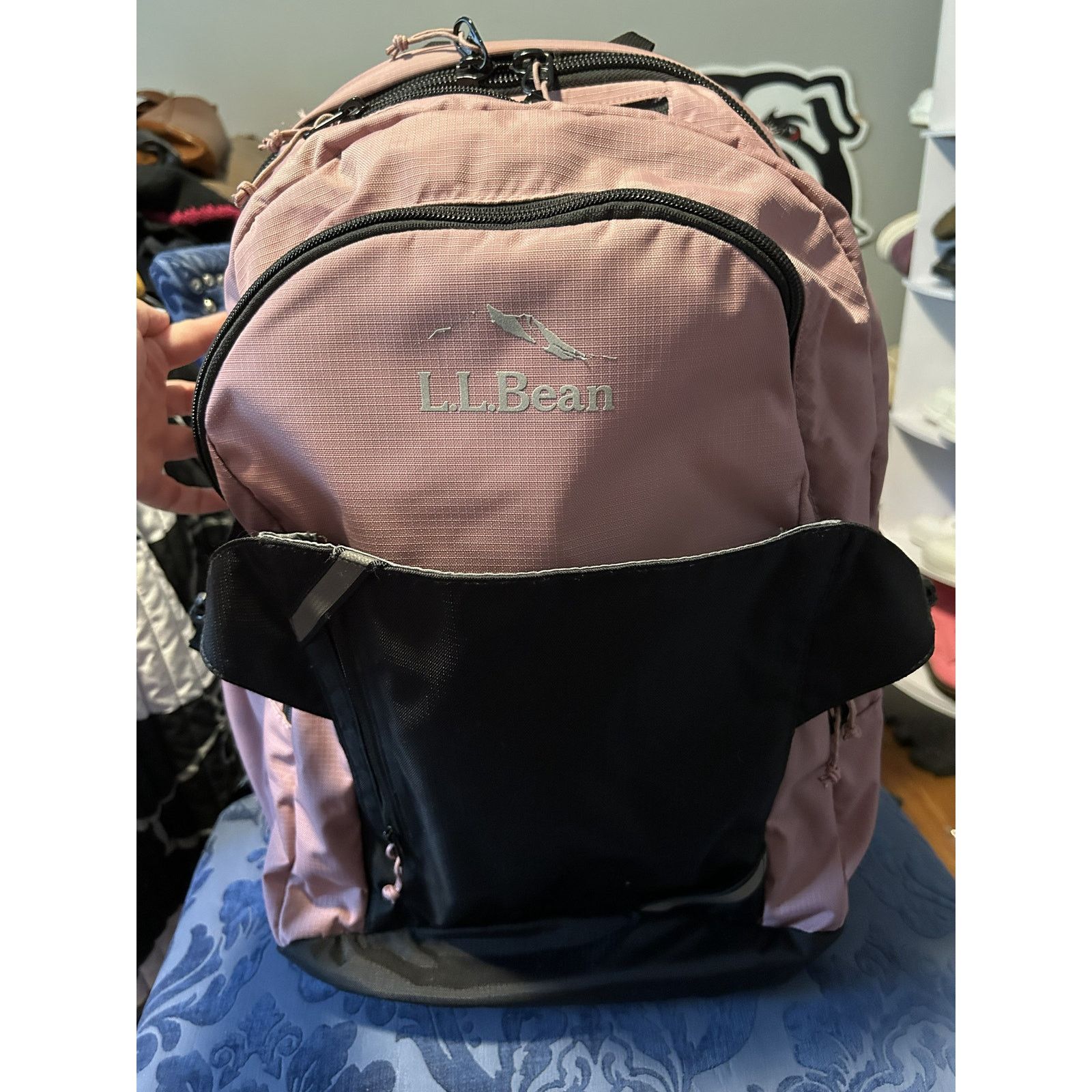L.L. Bean LL Bean Pink Hiking Day Trekking Backpack Size ONE SIZE - 1 Thumbnail