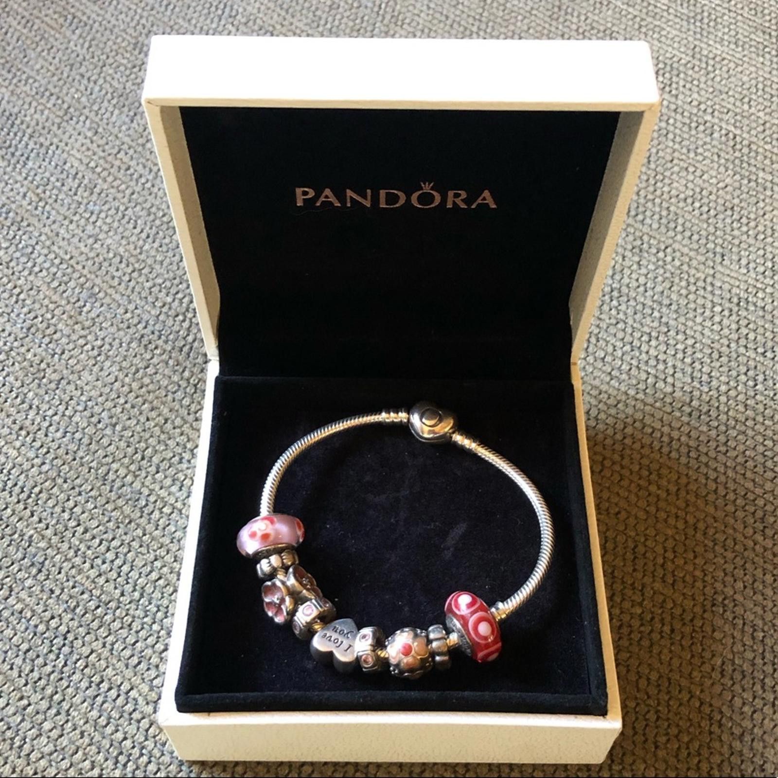 pandora Authentic Pandora Bracelet with 9 Pandora Charms Size ONE SIZE - 1 Thumbnail